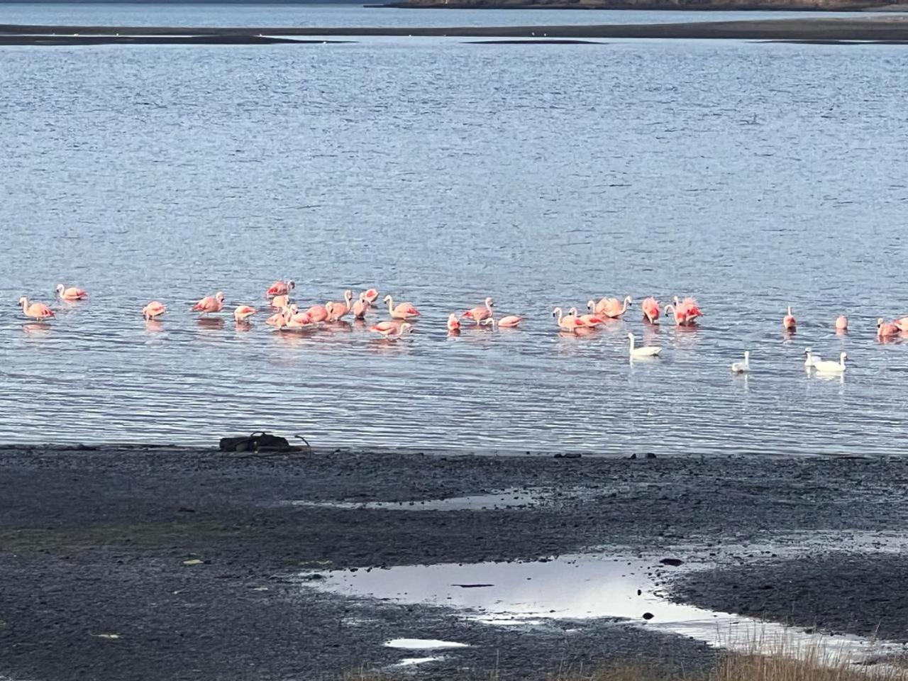 Cabañas Casatur para 6 personas en Ancud Chiloe