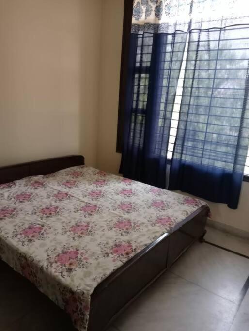 Divine 1 bhk Home Greater Mohali view 4
