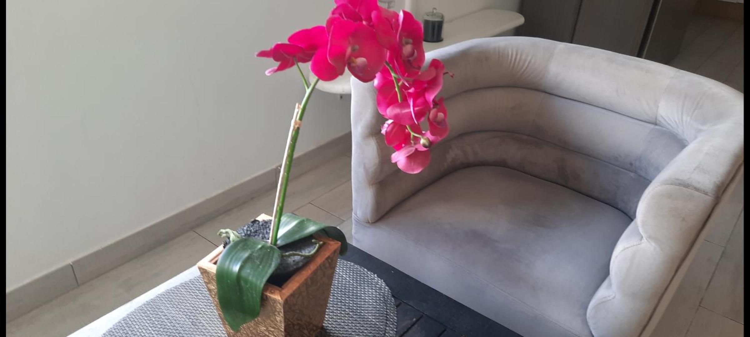 Loft fantasia diamant