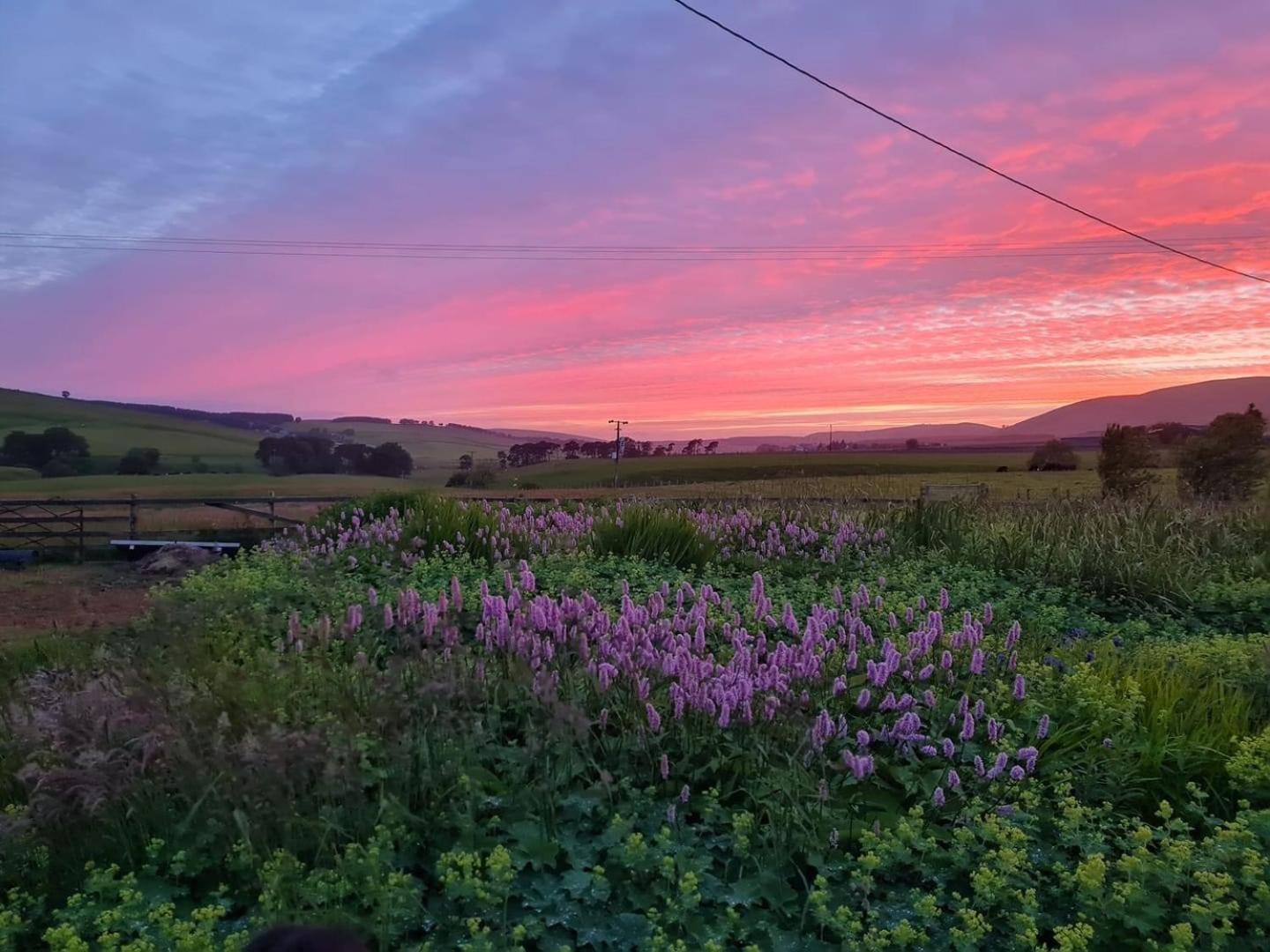 Charming Parlour Cottage at Tinto Retreats near Biggar view 3