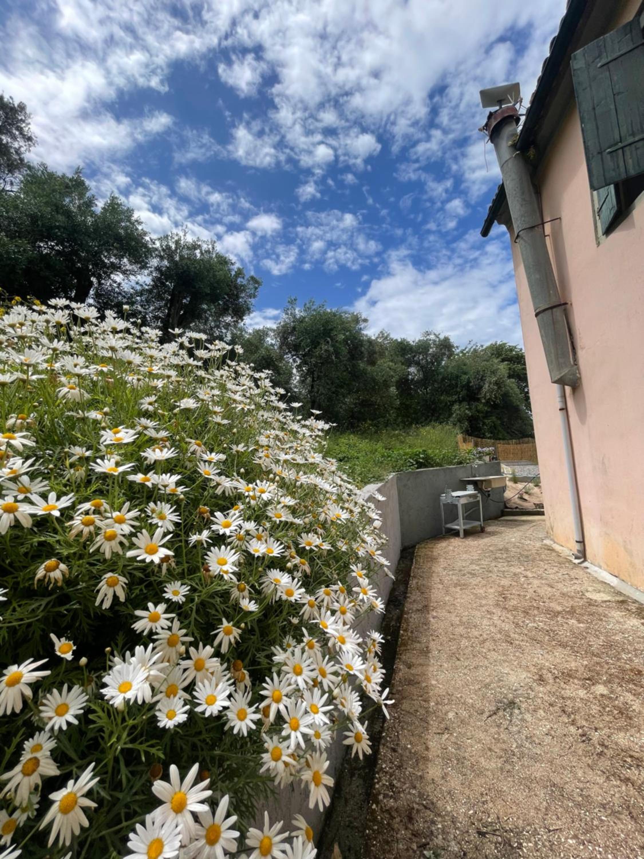 Ariboo holiday stay