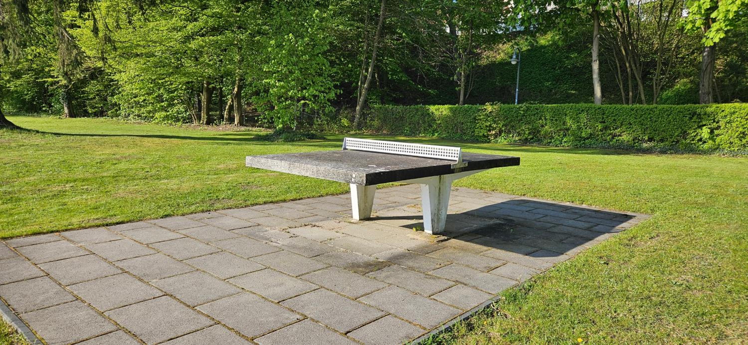 Modernes festliegendes Hausboot mit großzügiger Dachterrasse und Ruderboot