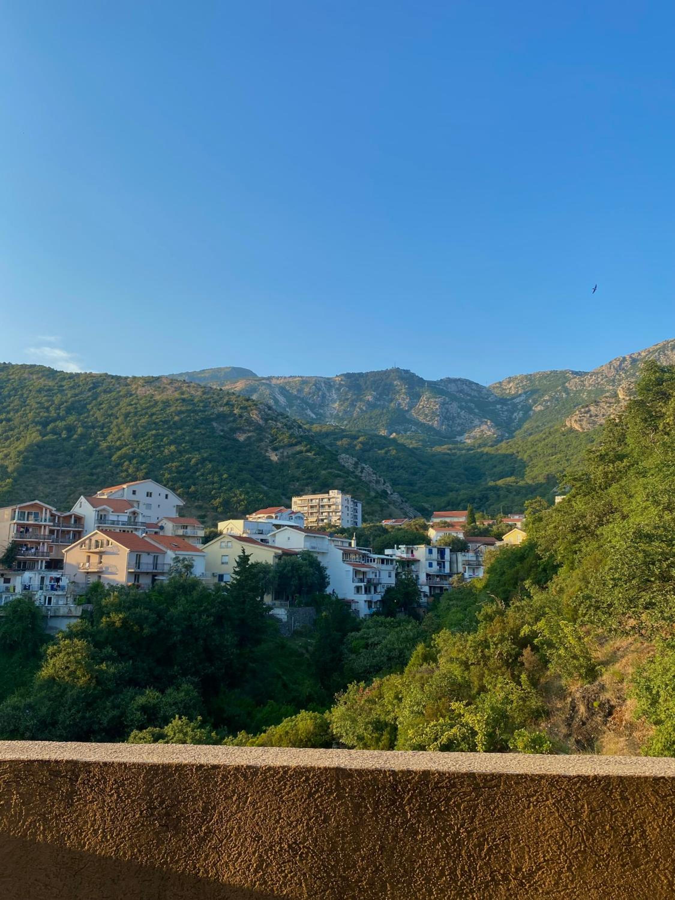 Studio Apartman Rafailovici view 3