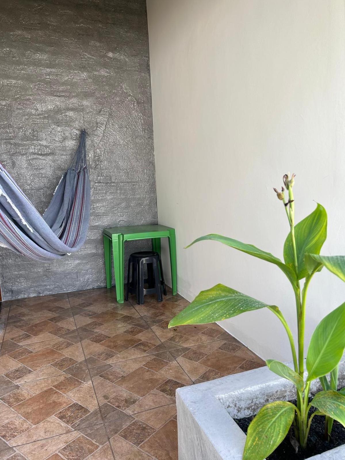 Casa Mangue