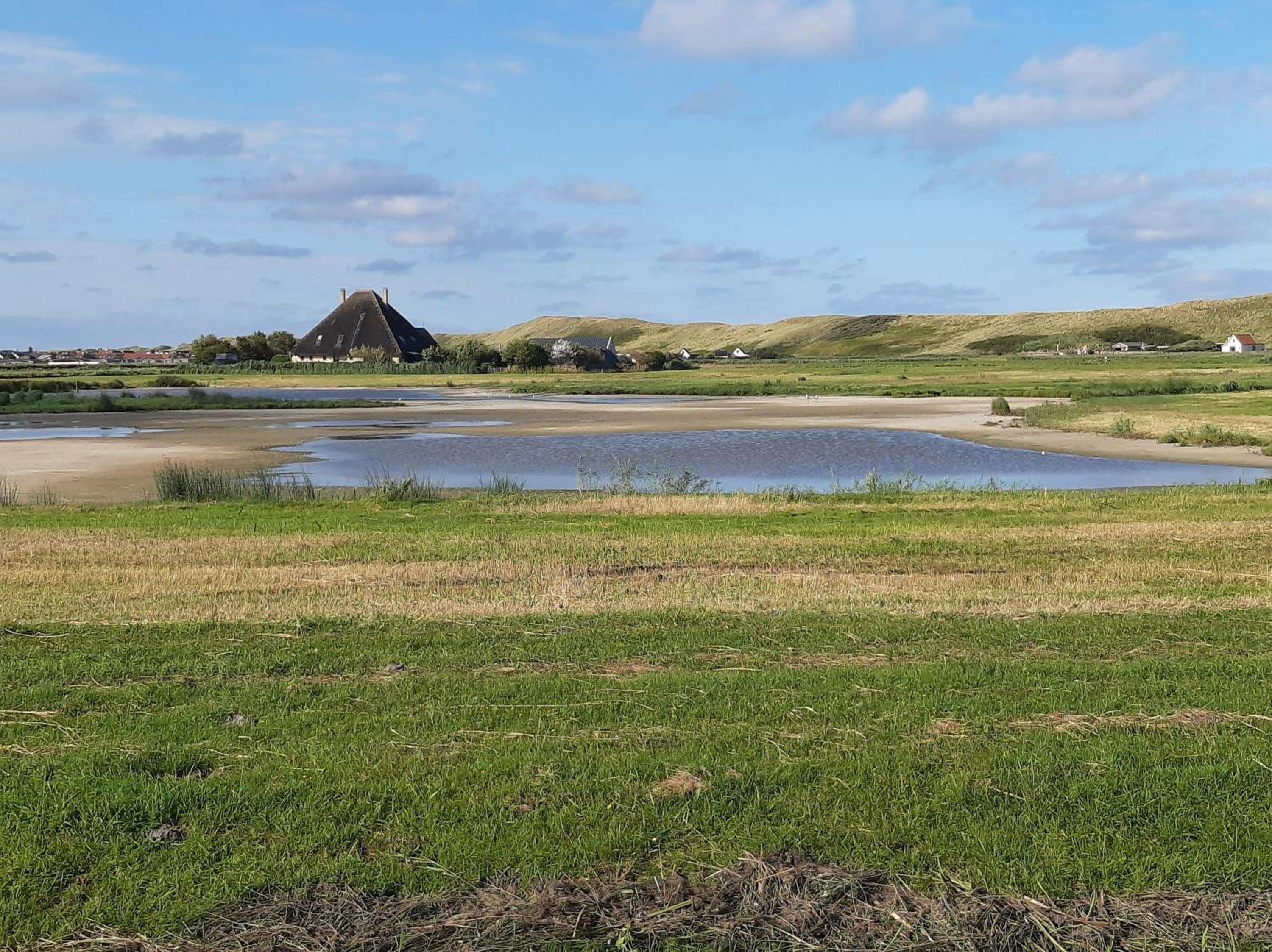 De Jutter, in natuurgebied en vlakbij het Strand