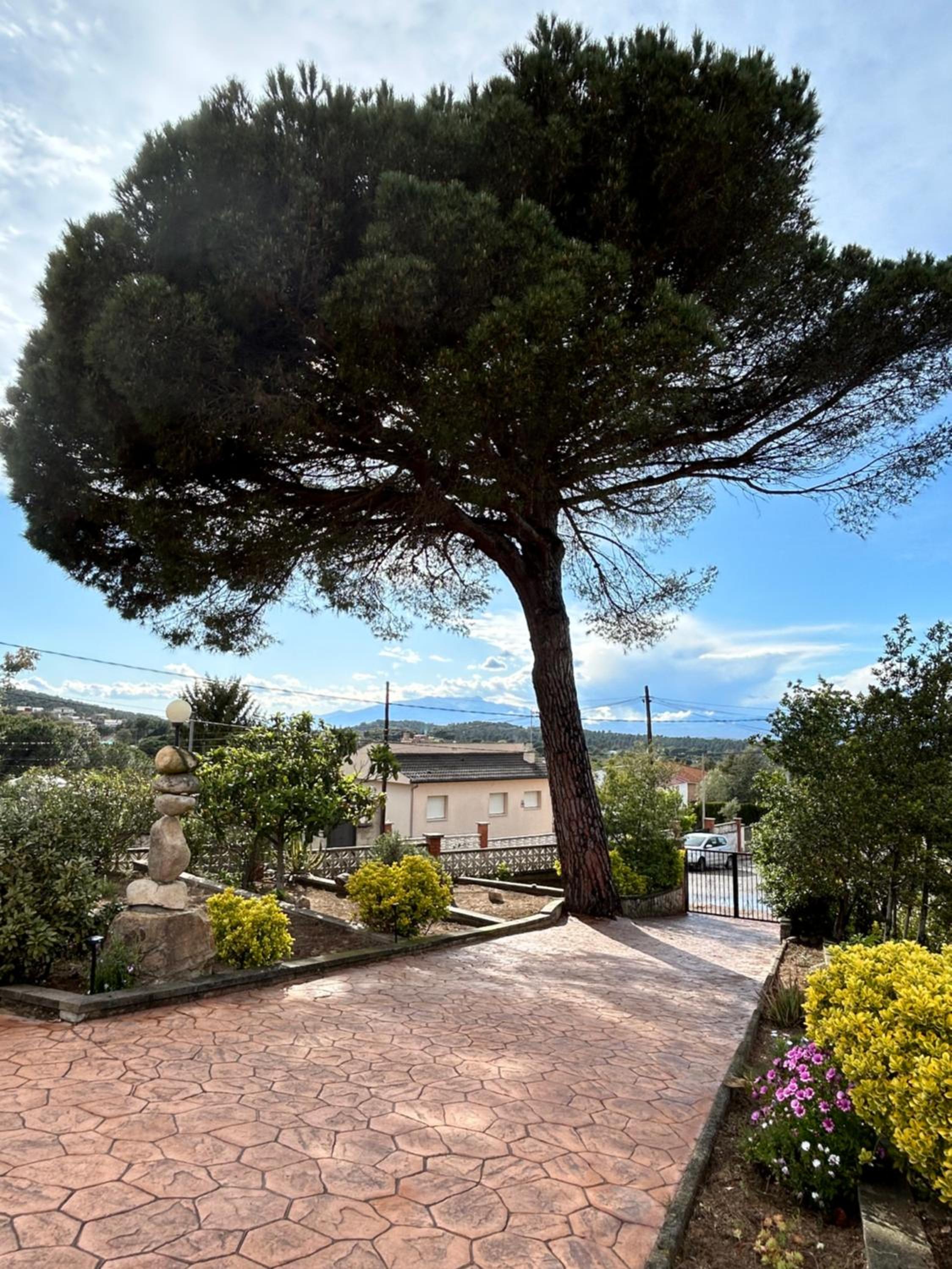 Casa Trigo