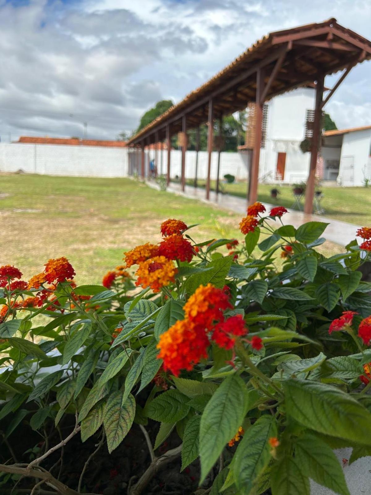 Casa Mangue