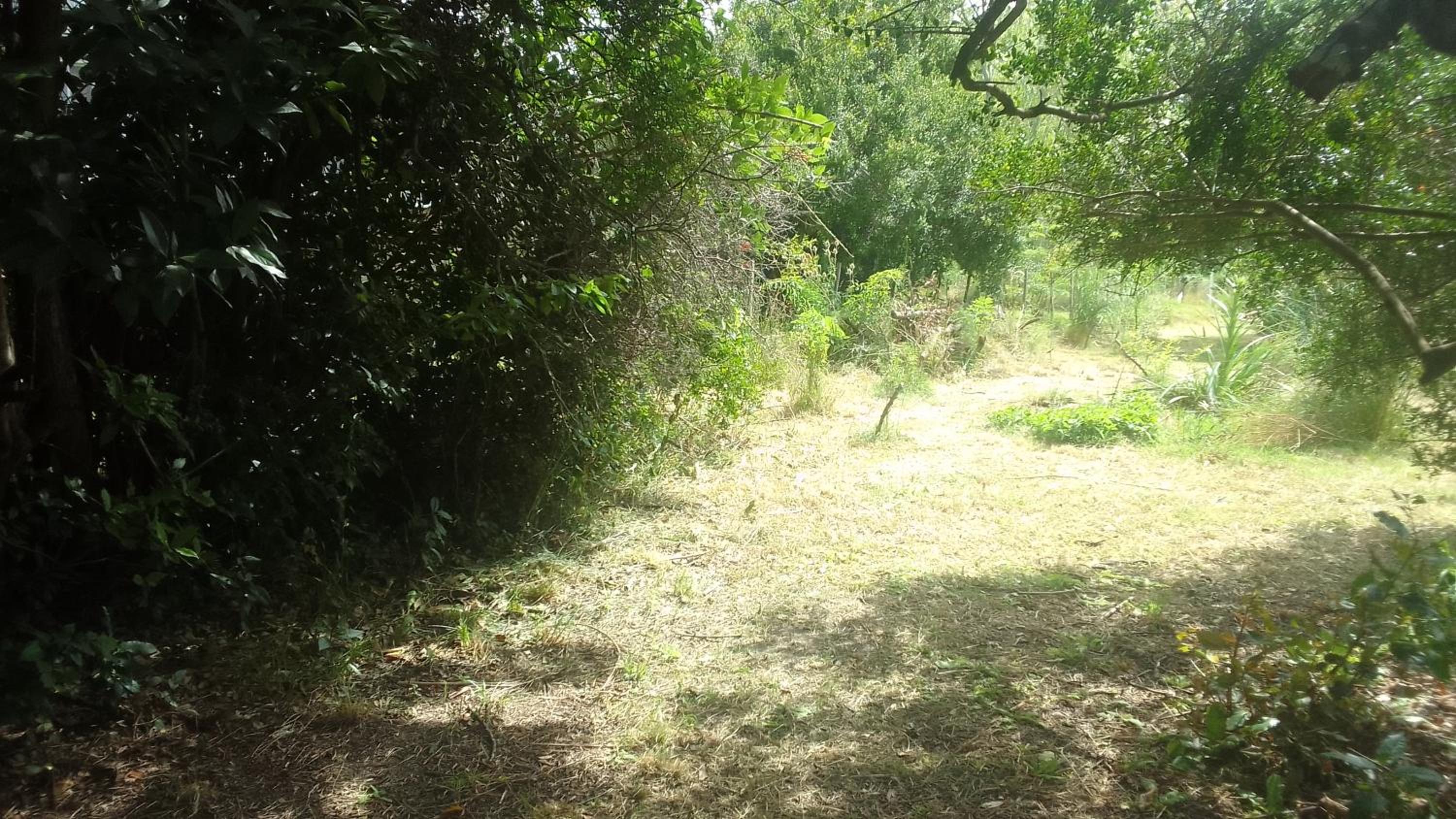 La casita del bosque