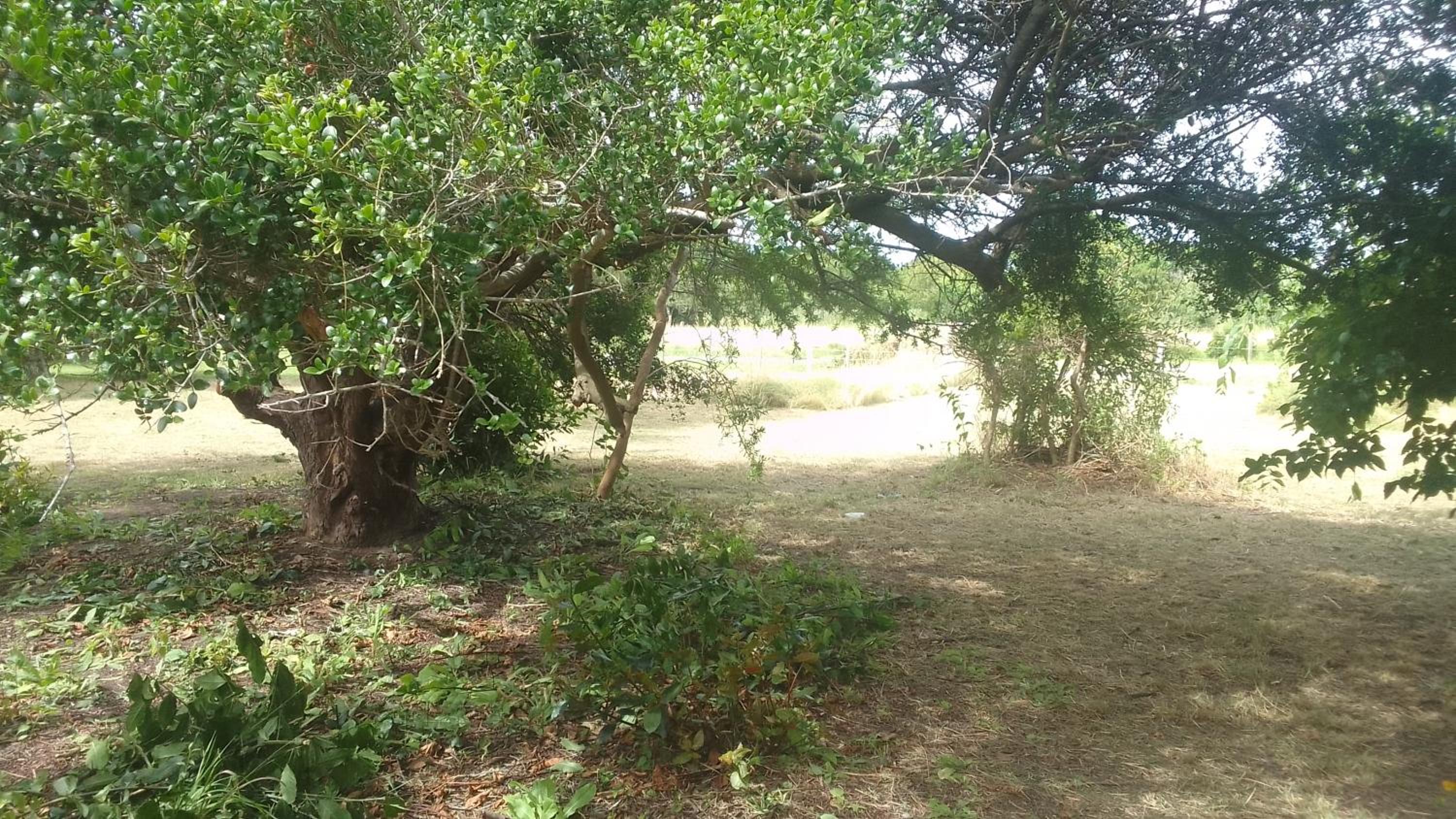 La casita del bosque