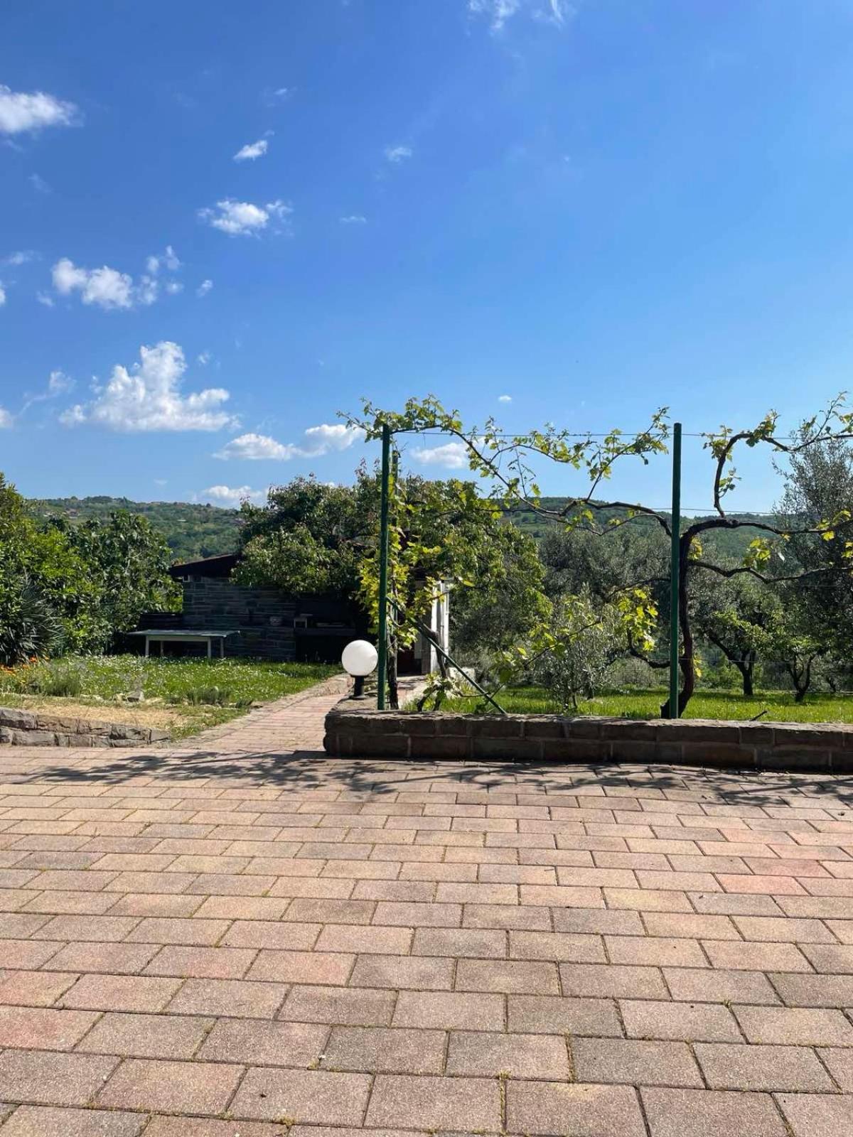 Olea Mar apartma view 3