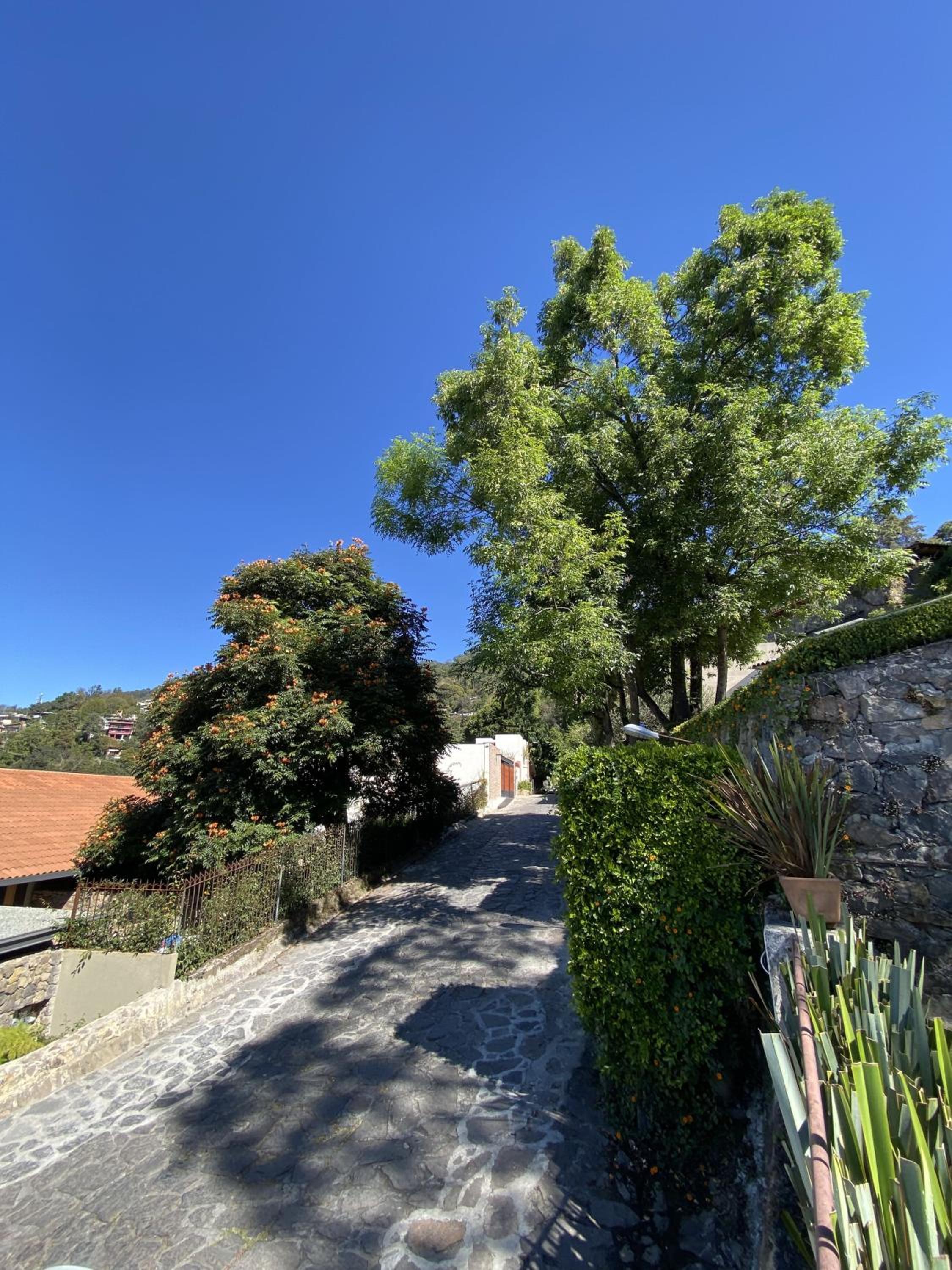 Casa Nahui