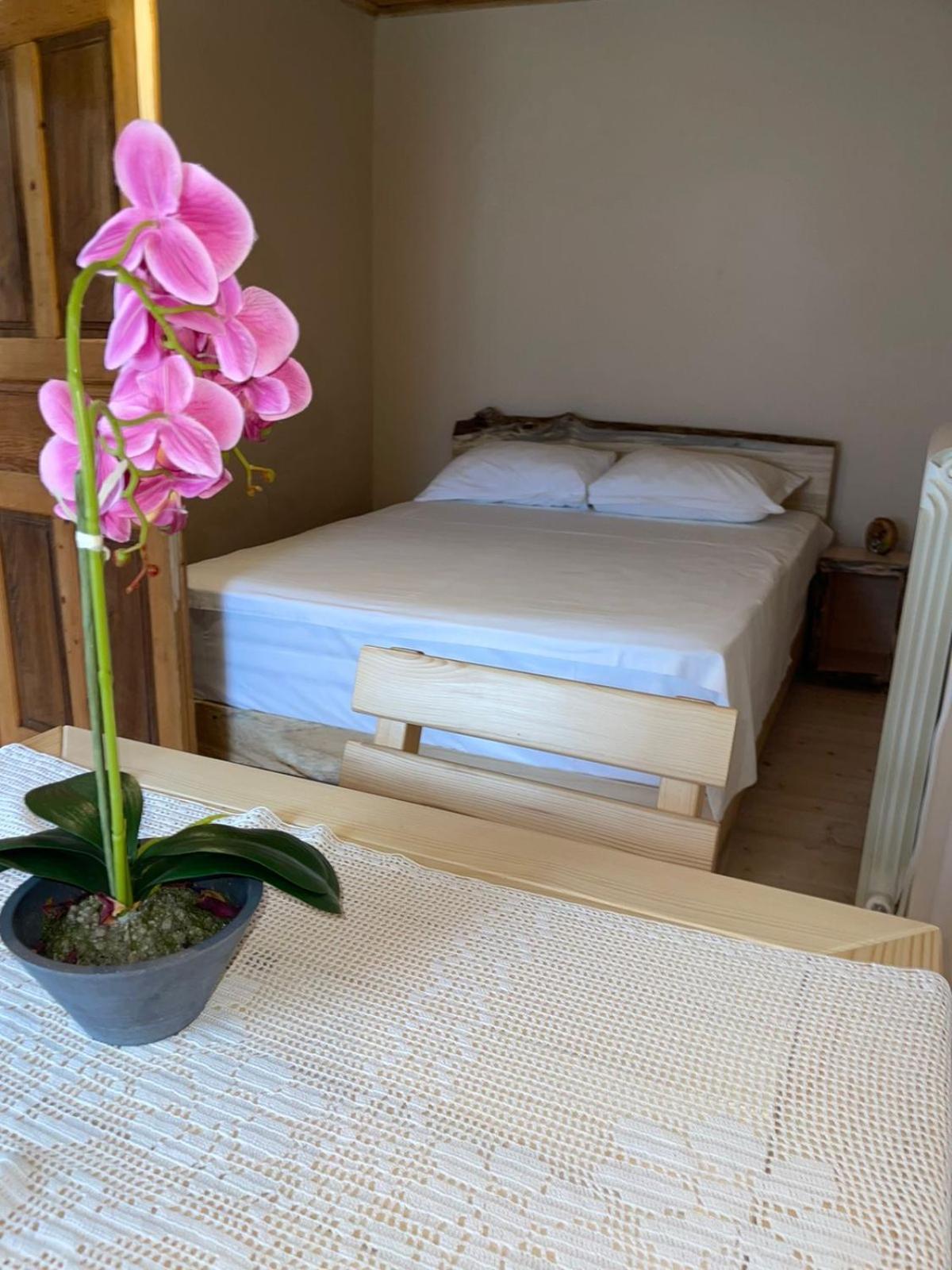 Guesthouse 