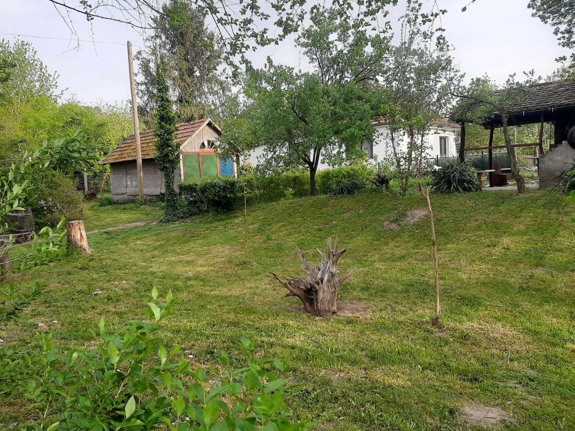 Photo 18