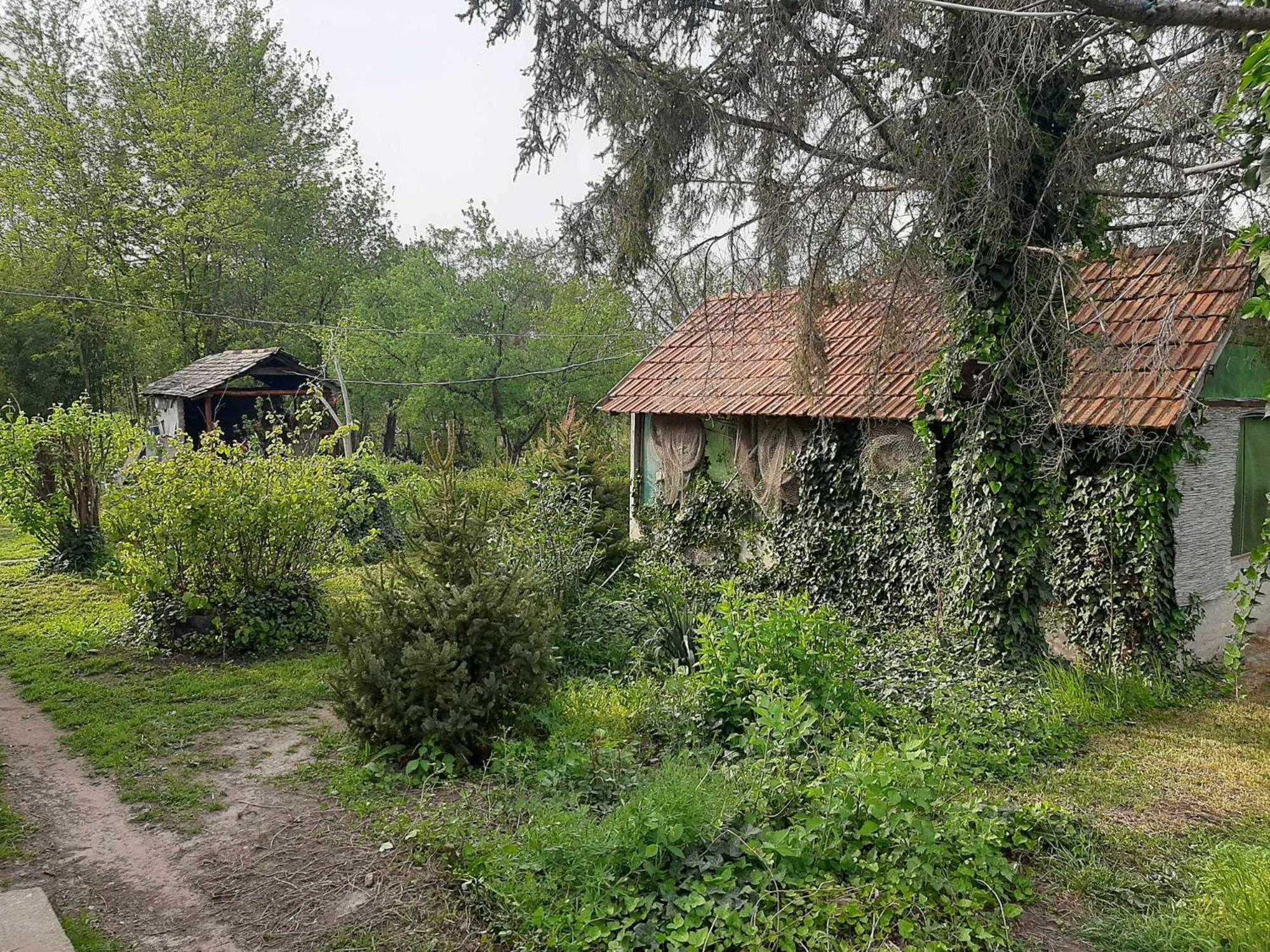 Photo 19