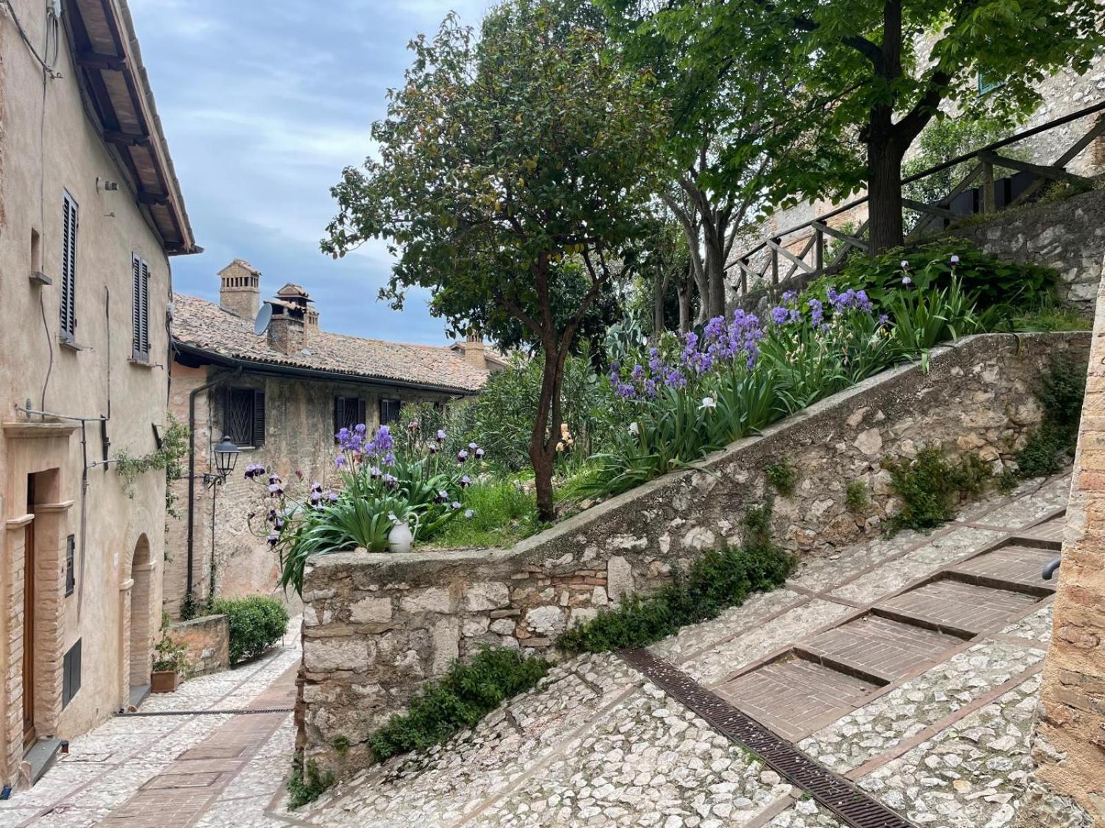 La vecchia vite casa vacanze view 2