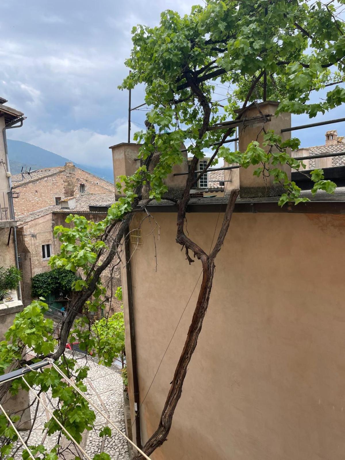 La vecchia vite casa vacanze view 4