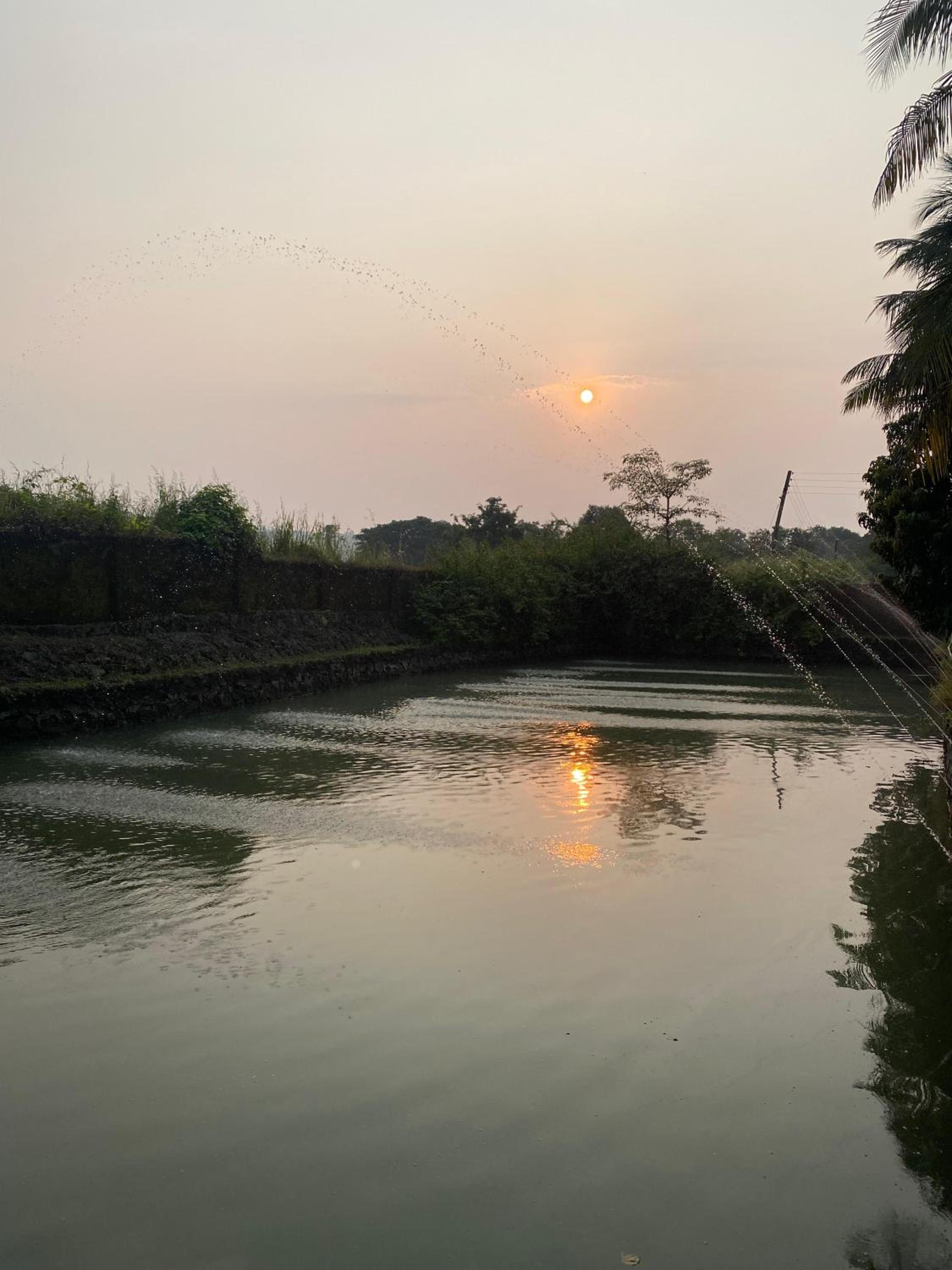 The Mango Woods Cottage with Bathtub in Alibag with Swimming Pool