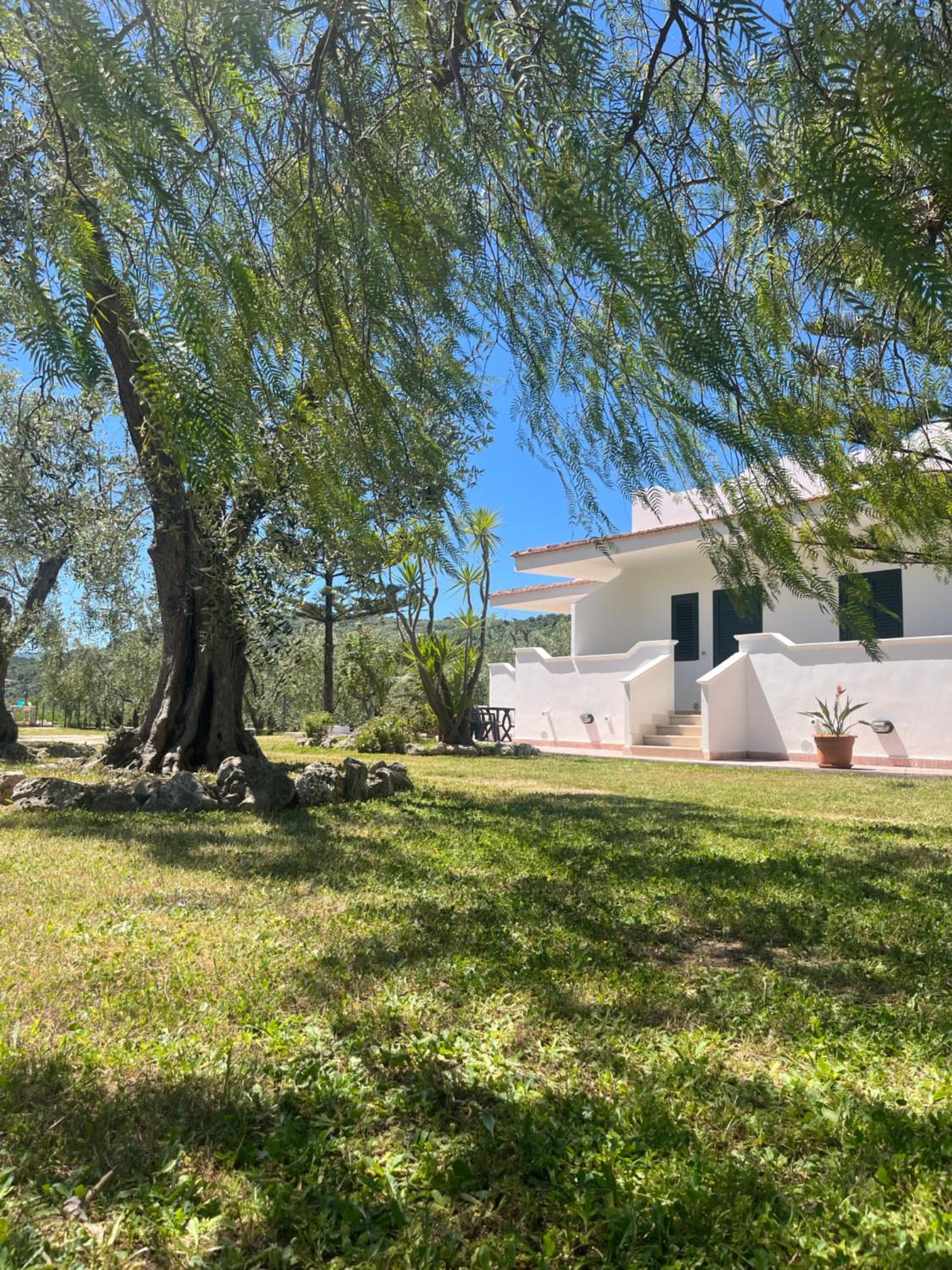 Villa Angela case vacanza photo 4