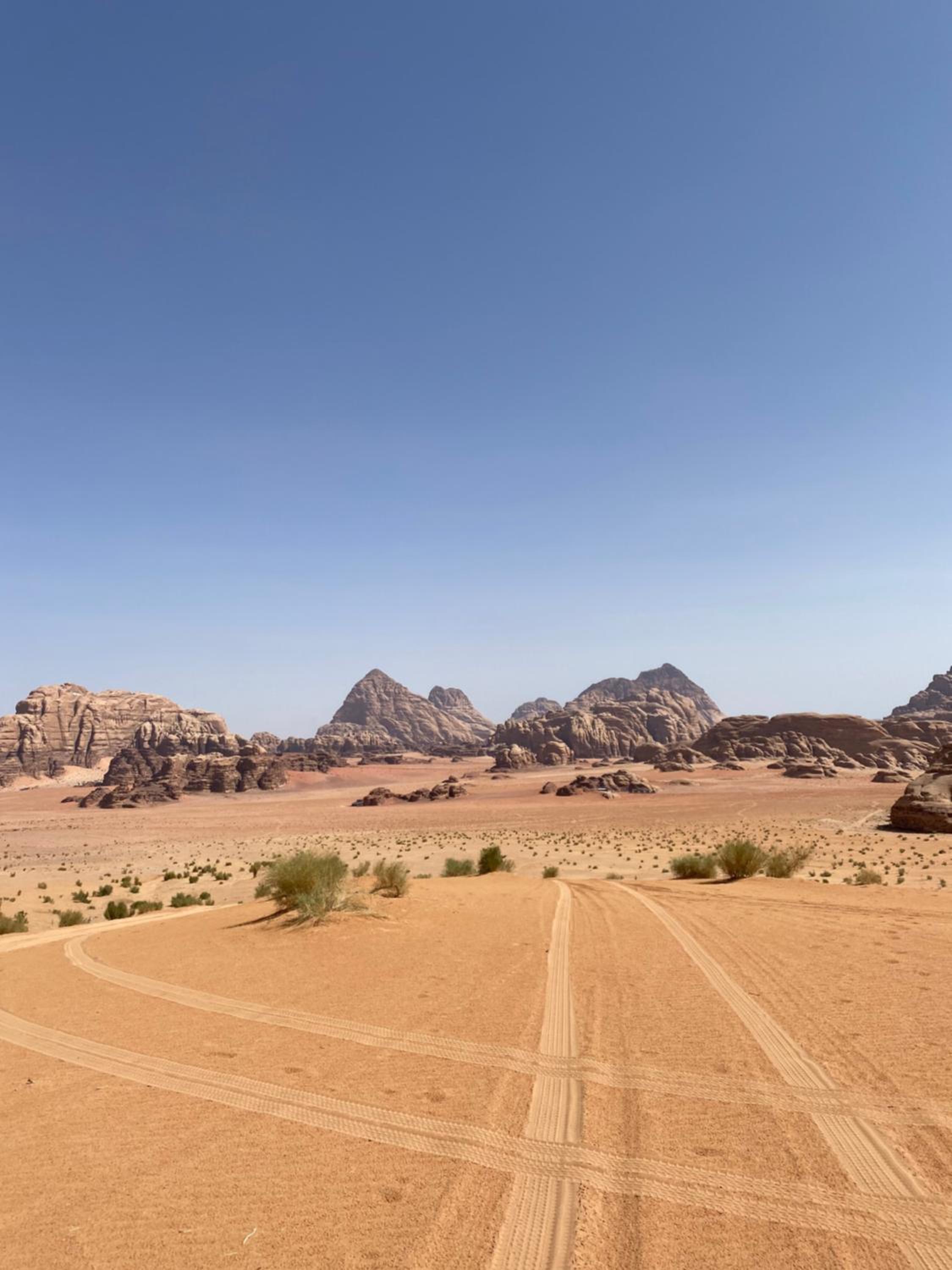 desert Hawk view 3