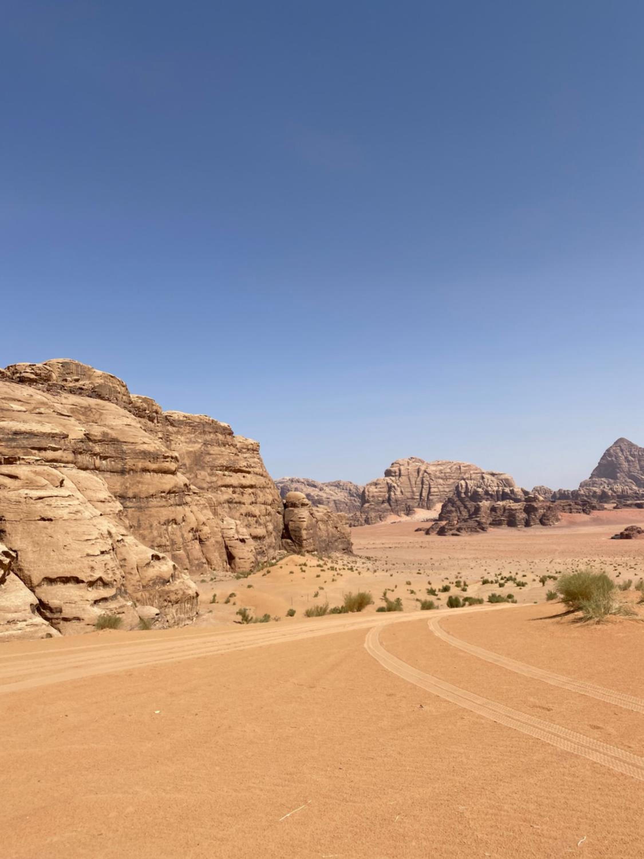 desert Hawk view 2