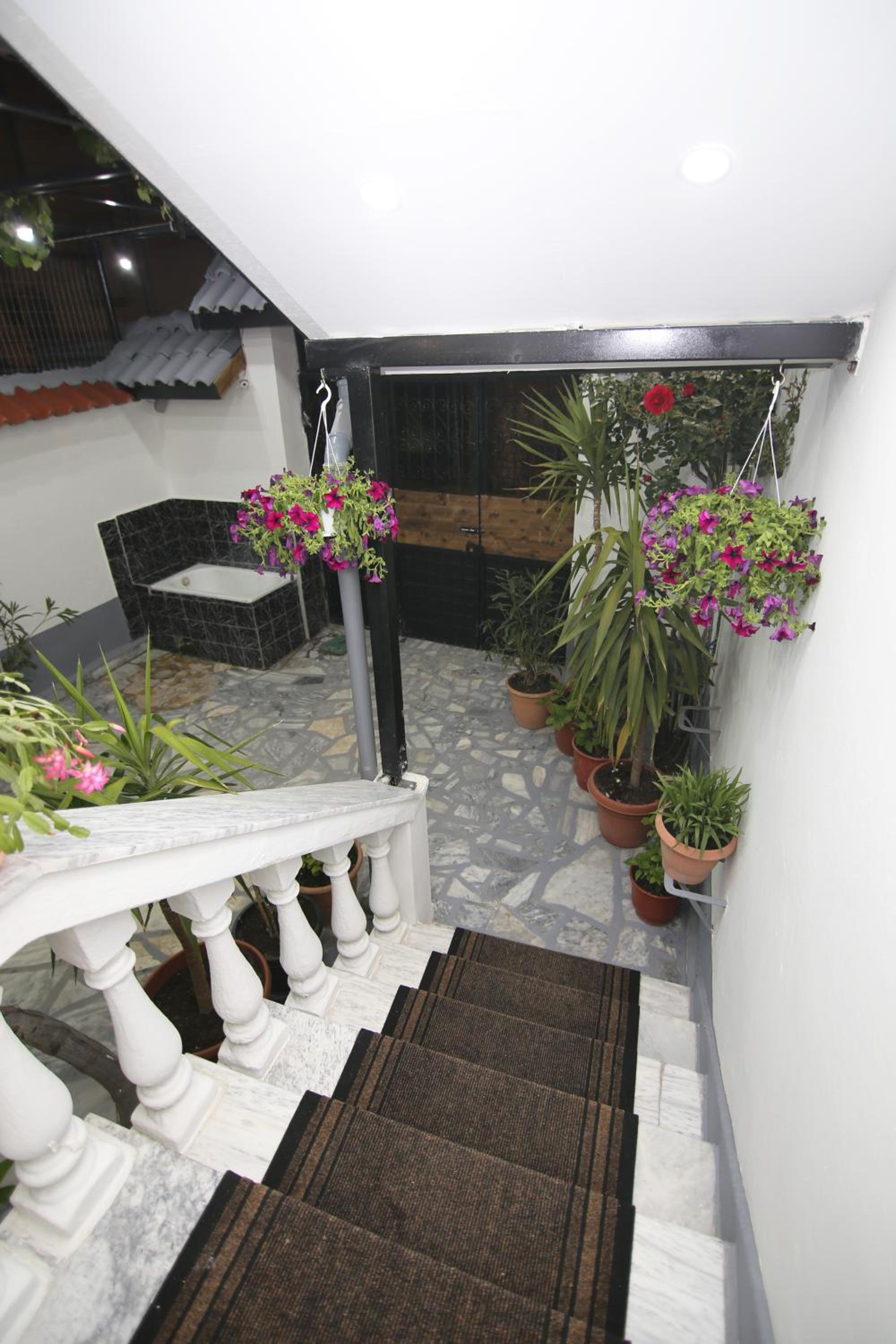 Vila Emre