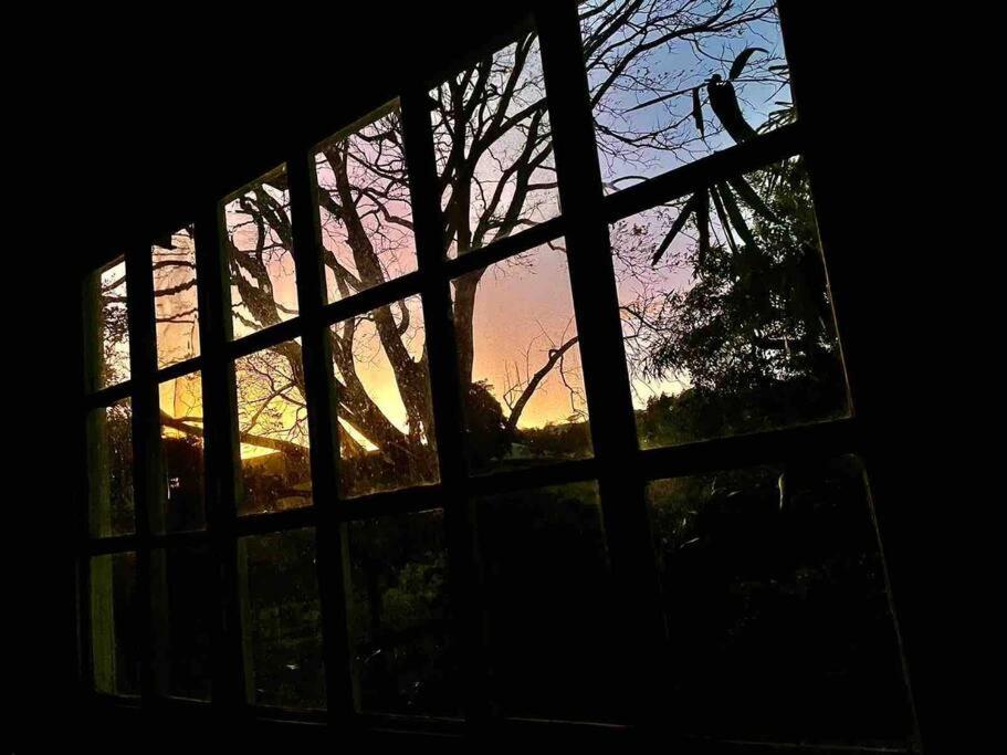 Rainforest Cabin in Escazu