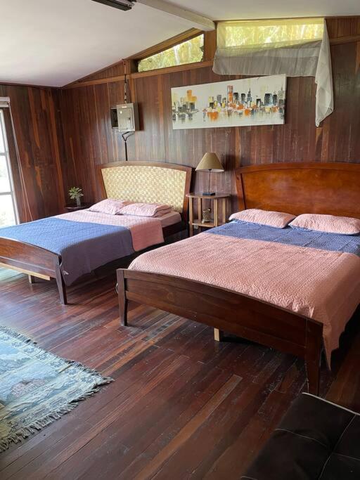 Rainforest Cabin in Escazu
