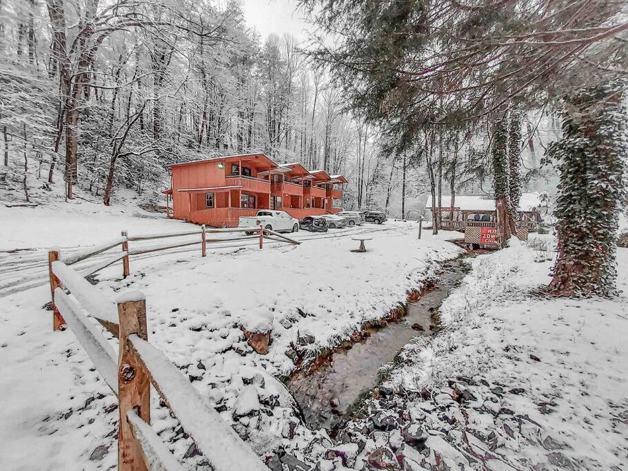 Mountain Cabin in woods 3 minutes to Helen #13 view 2