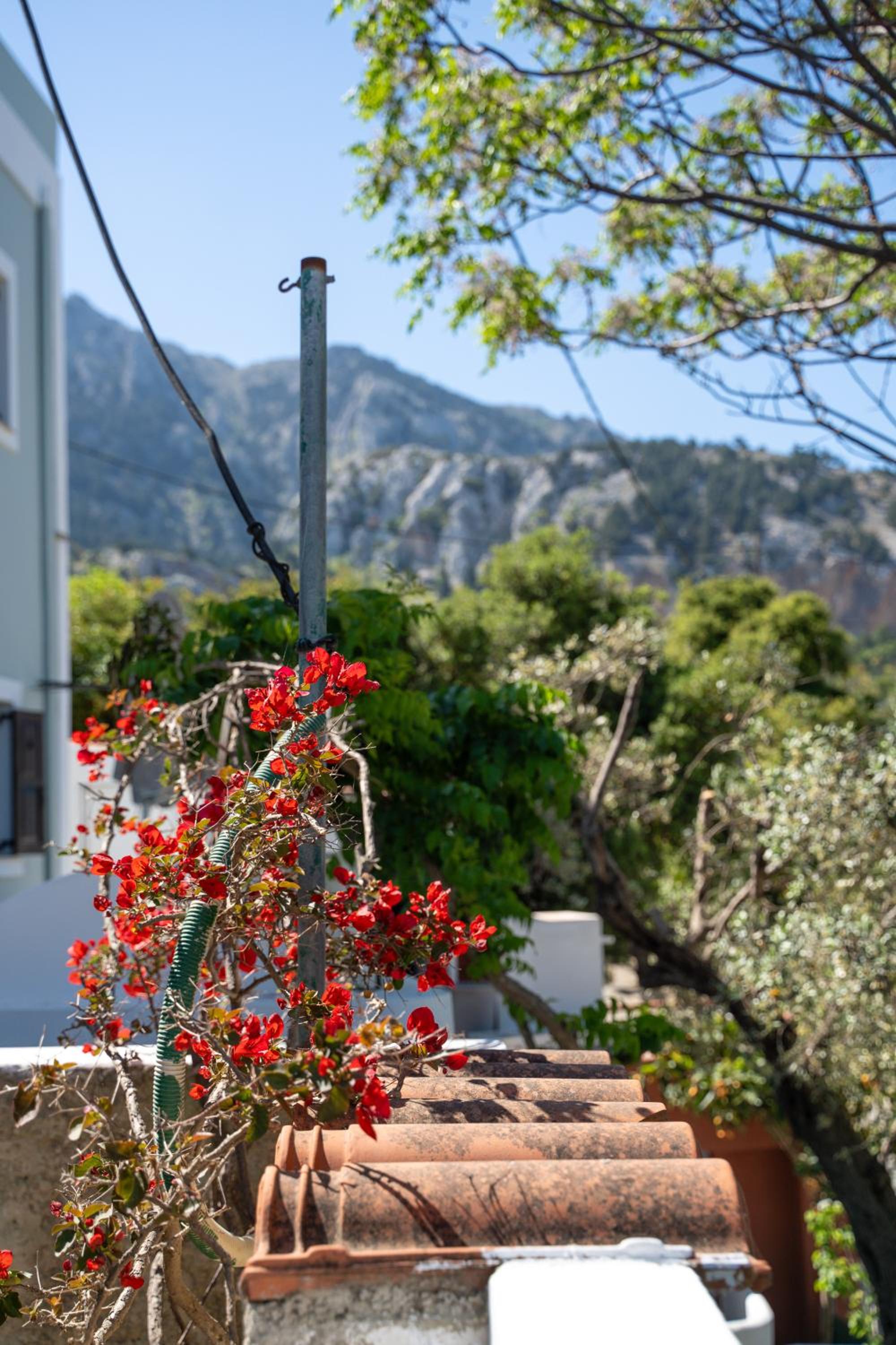 Infinity Residence - Charming Retreat in Kos photo 5