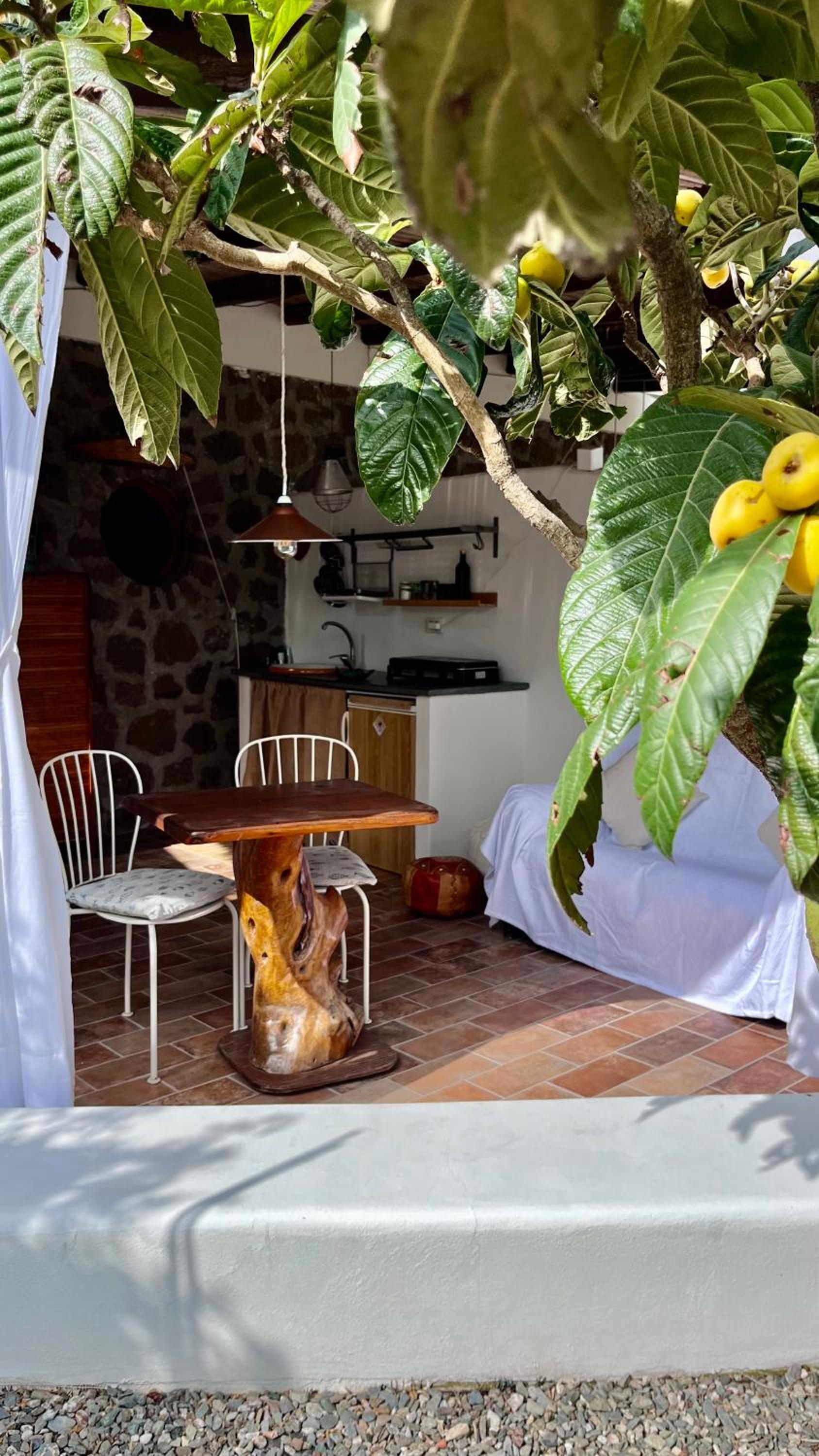Case Quattrocchi - Giardino e Terrazzi con vista Panoramica sul Mare, Etna e Vulcano