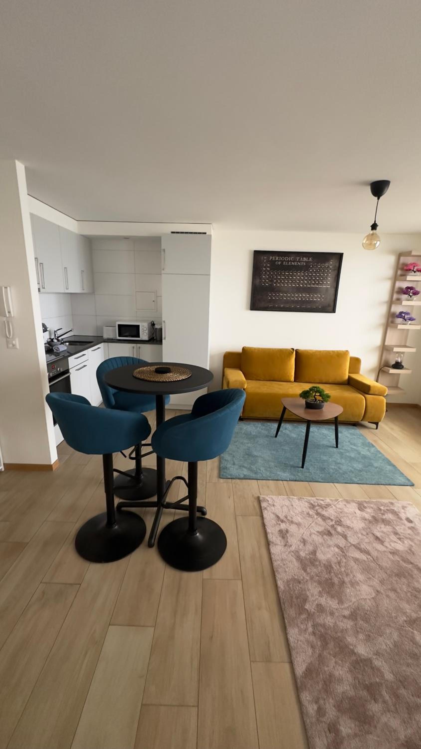 Montreux centre ville lac appartement