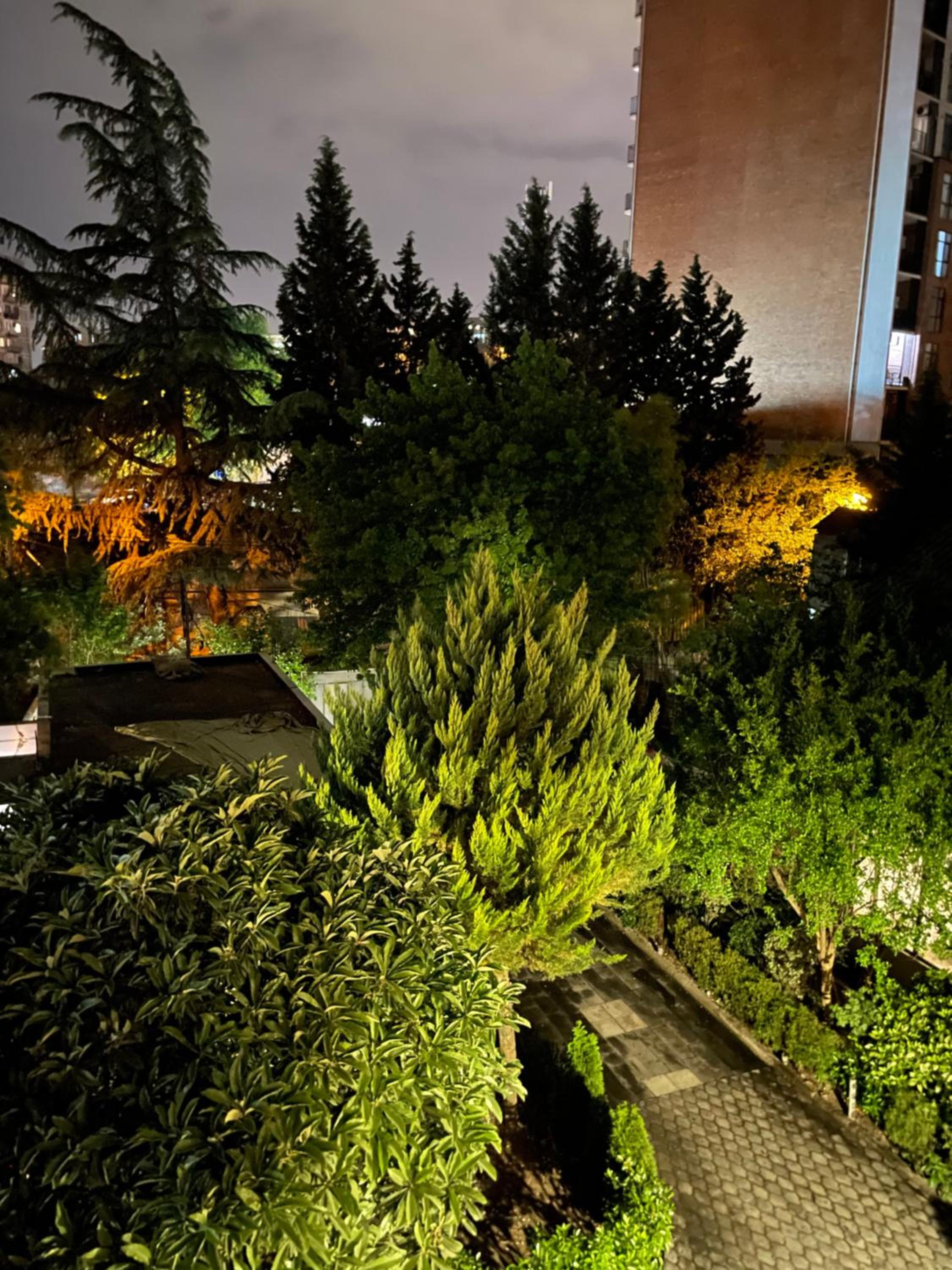 Varketili garden