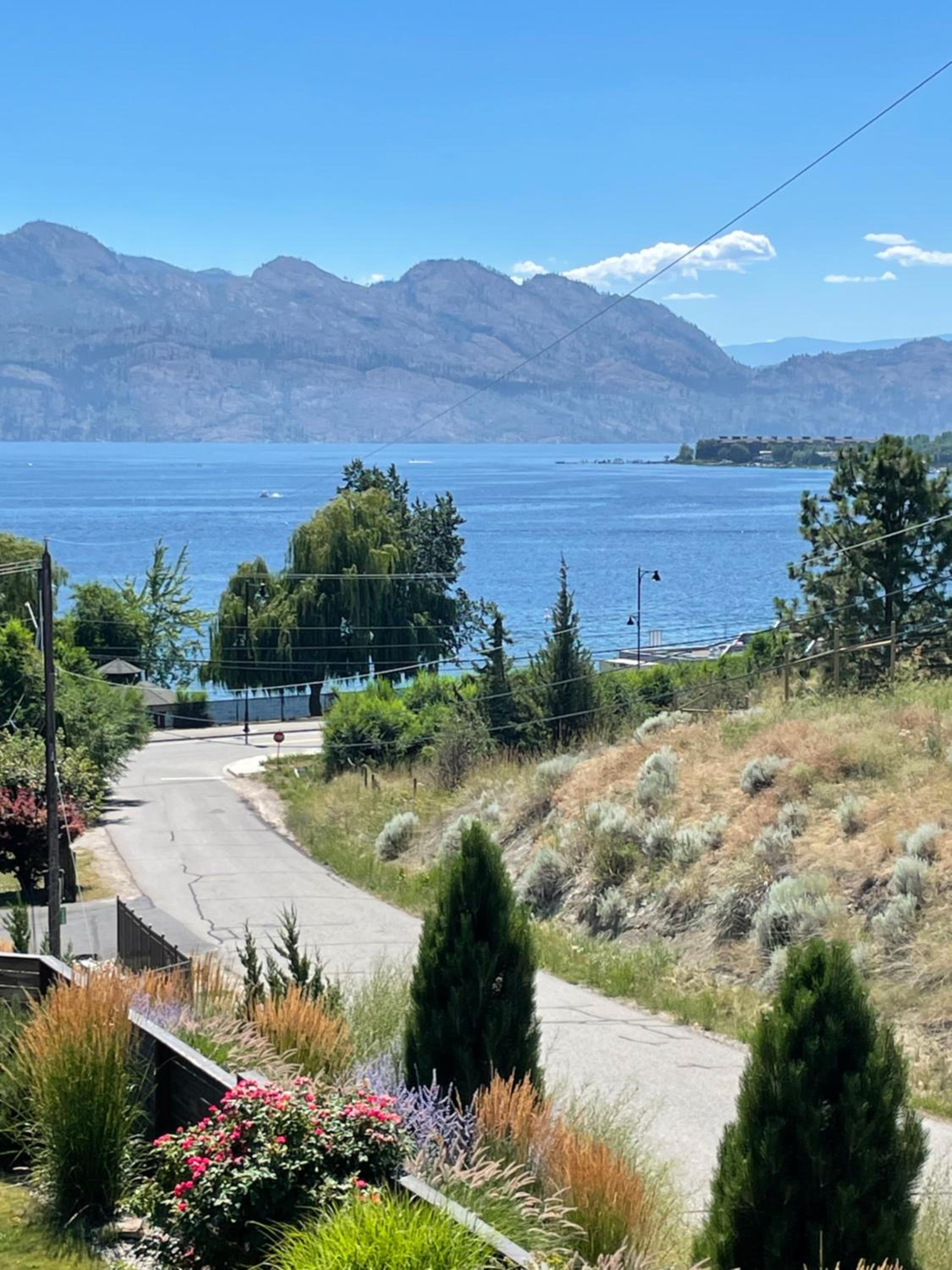 Lakefront wine trail Fully Licensed modern suite