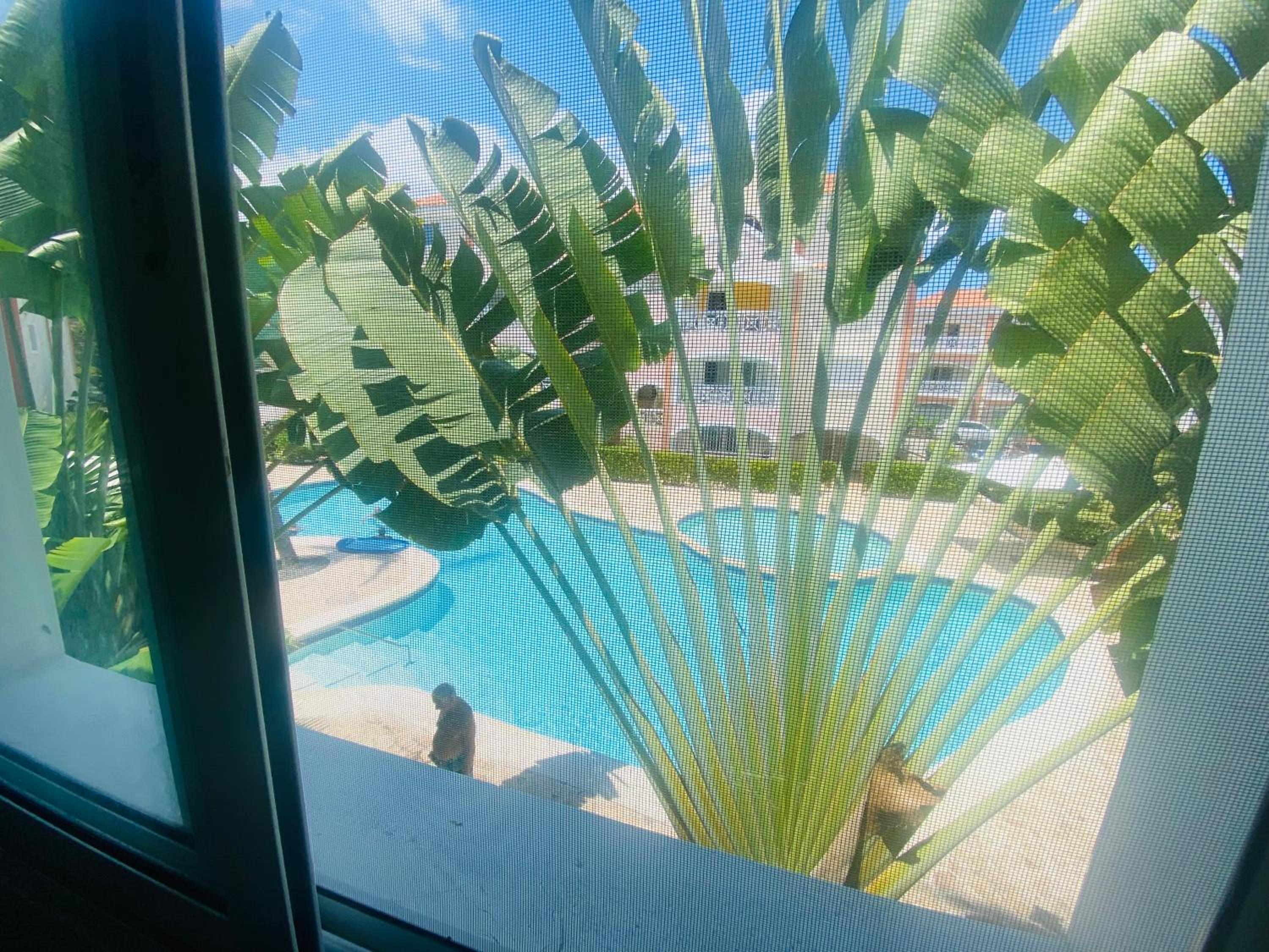 punta cana bavaro appartahotel beach club