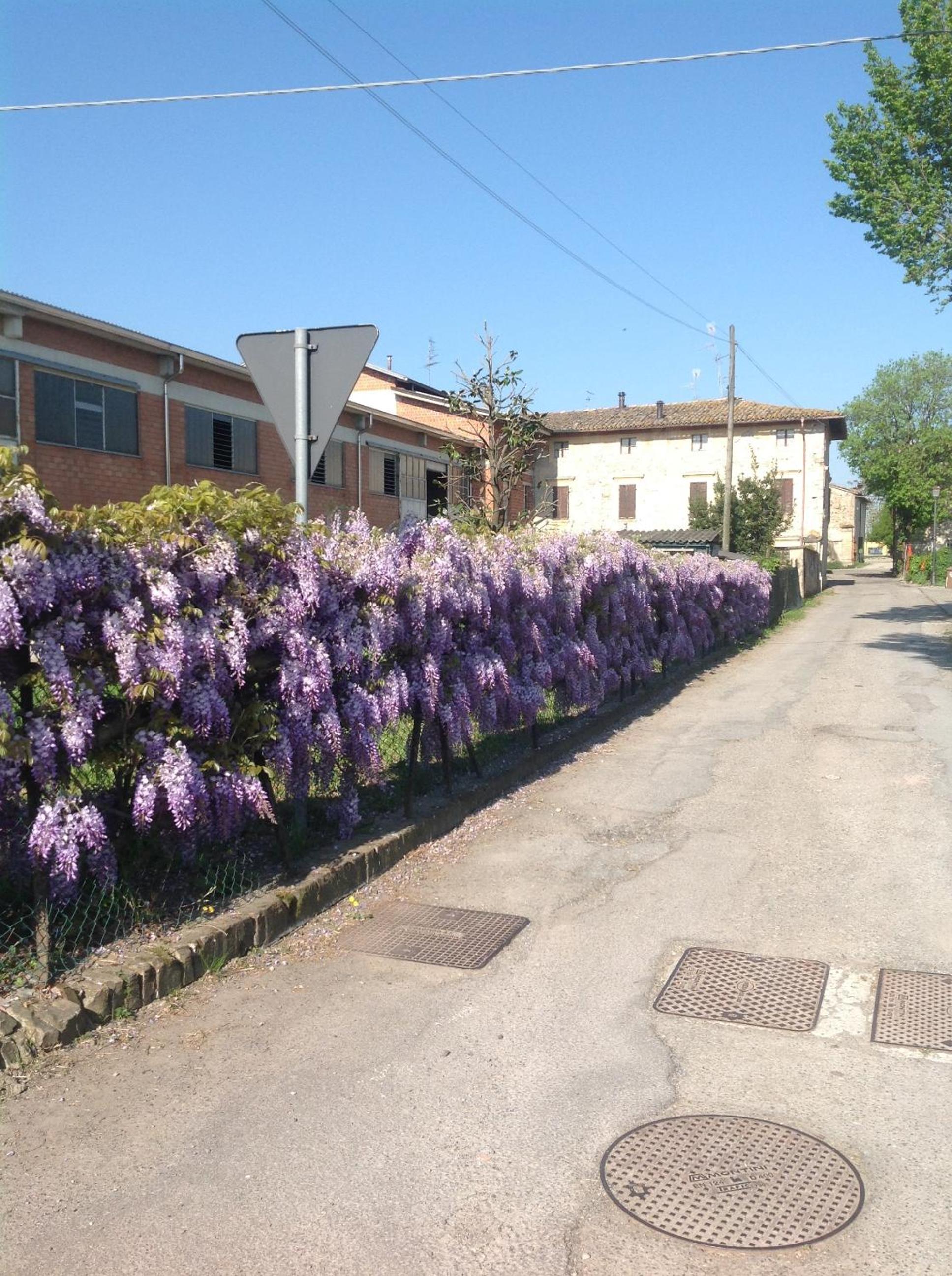 B&B San Giorgio