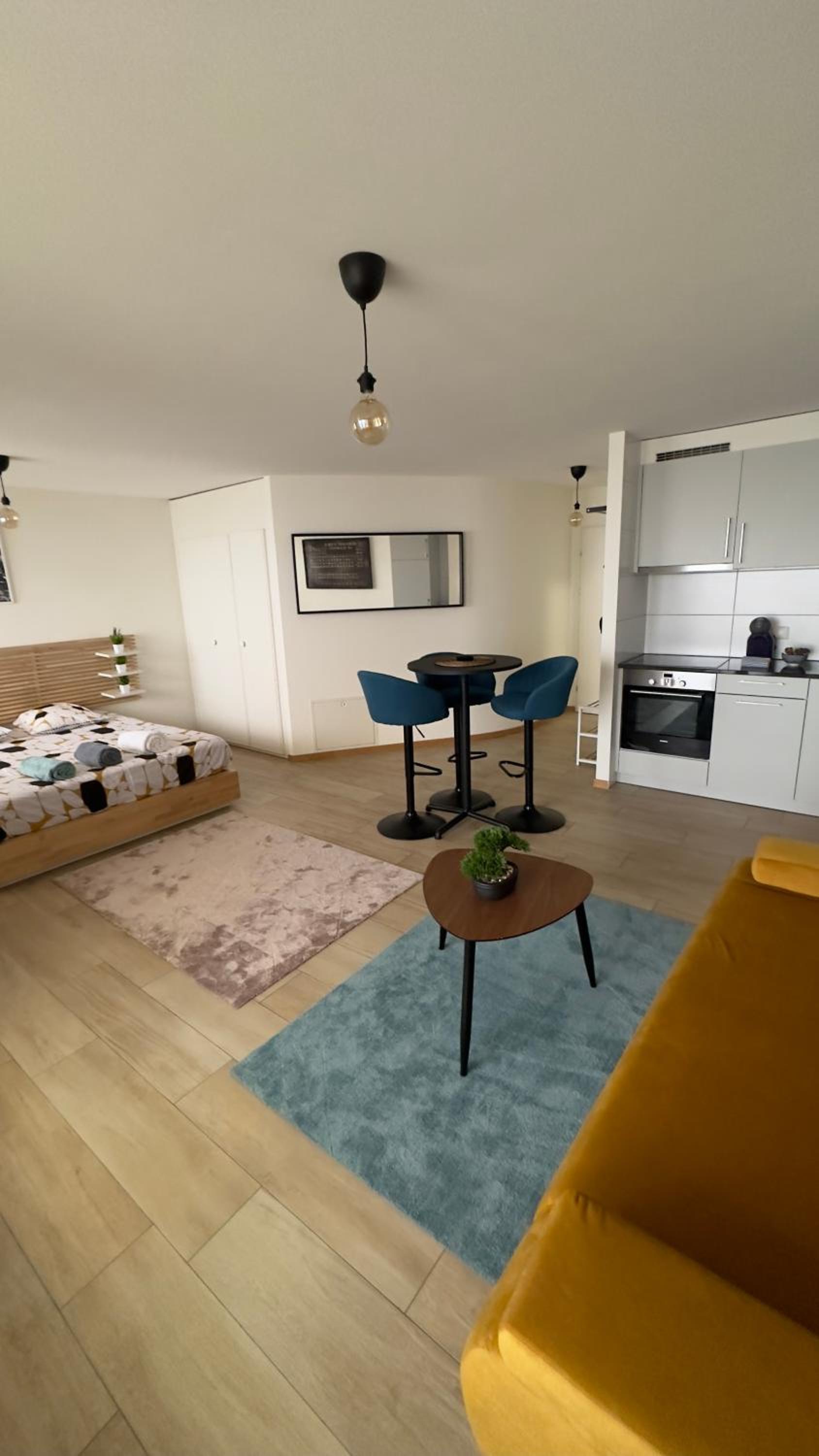 Montreux centre ville lac appartement