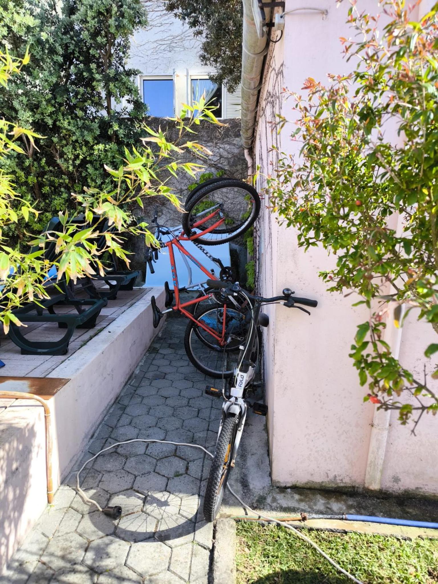 Photo 35