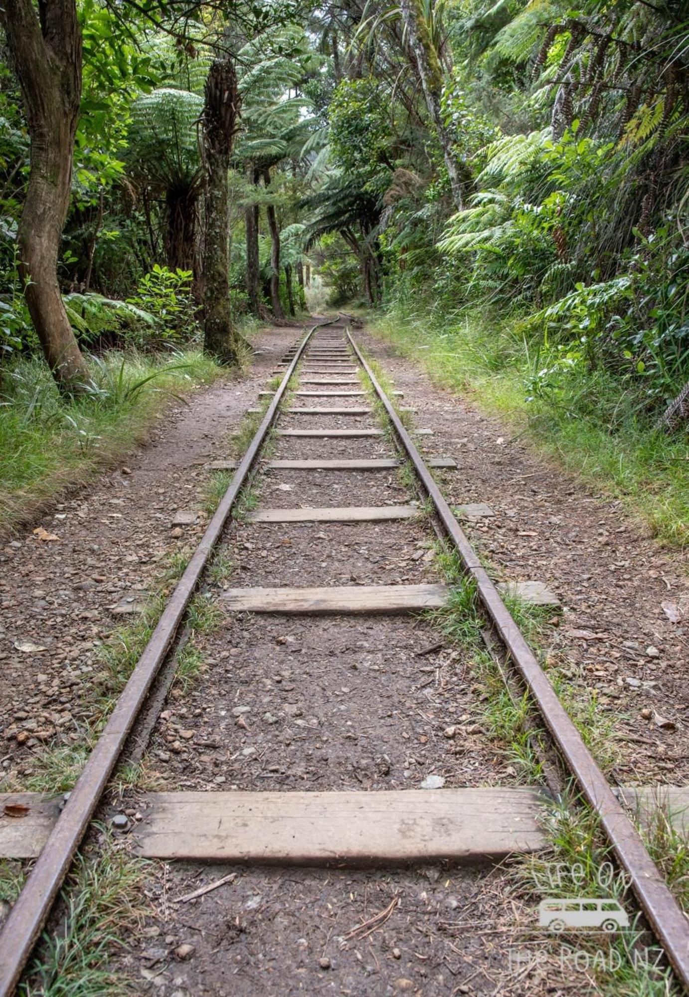 Wood Pigeon Cottage Pet Friendly Free Breakfast Hauraki Rail Trail 2kms