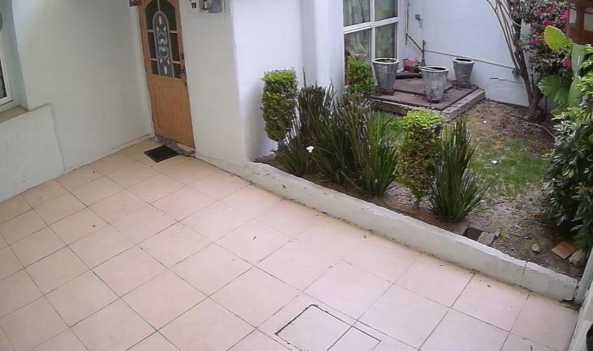 Casa Boulevard photo 2