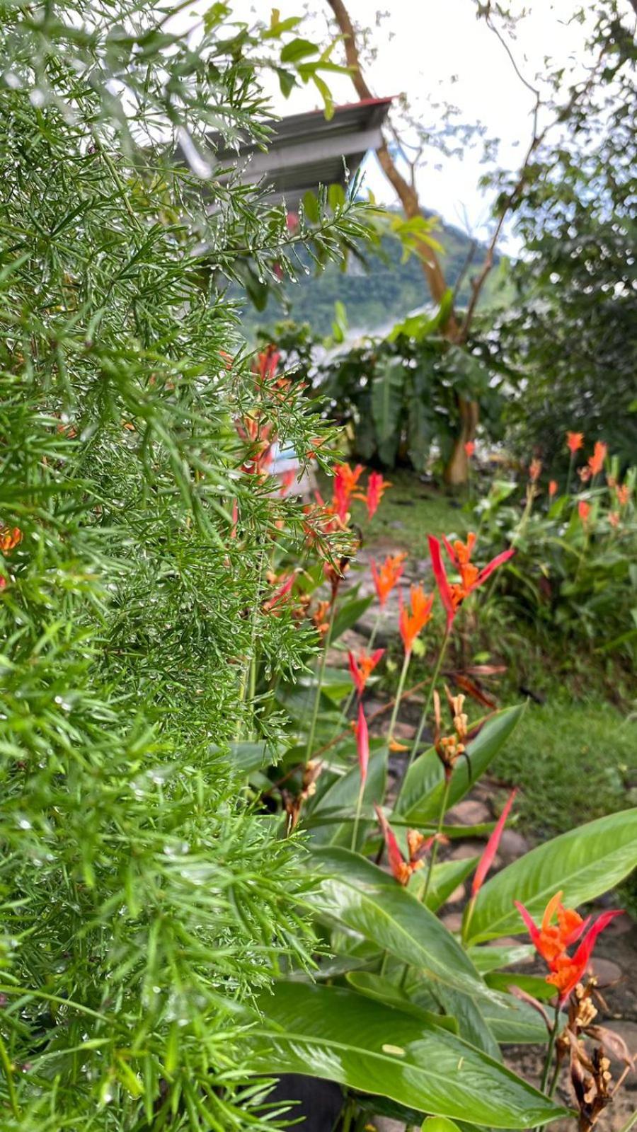 Tierras Munay