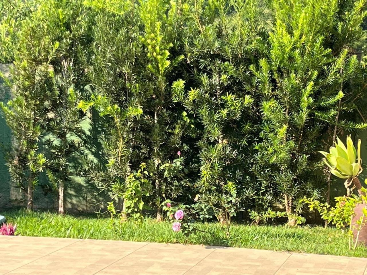 POUSADA PE NA TERRA EM GUARAREMA
