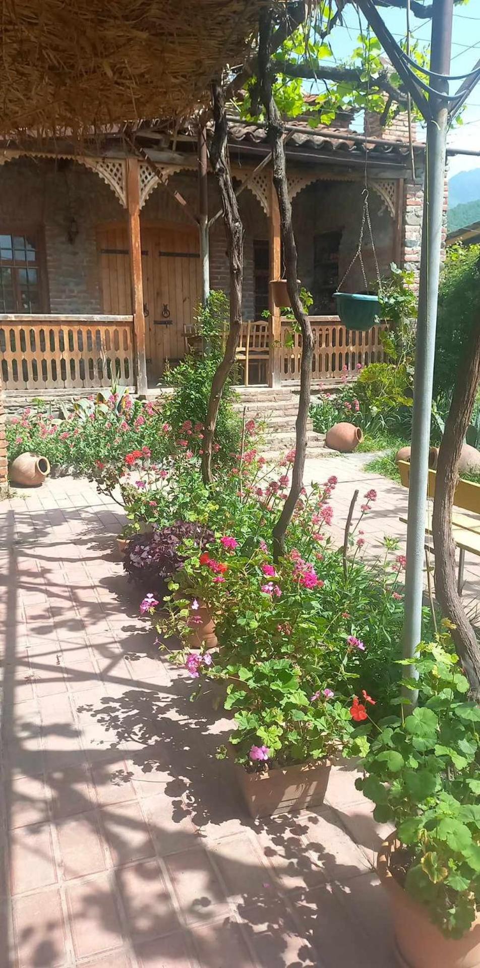 Photo 13