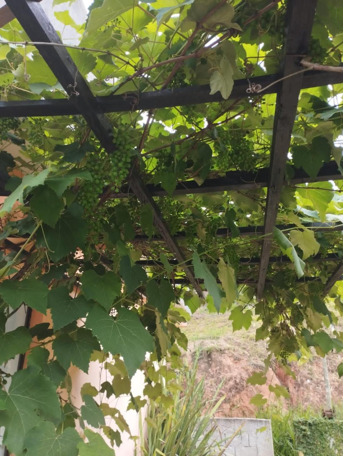 POUSADA PE NA TERRA EM GUARAREMA