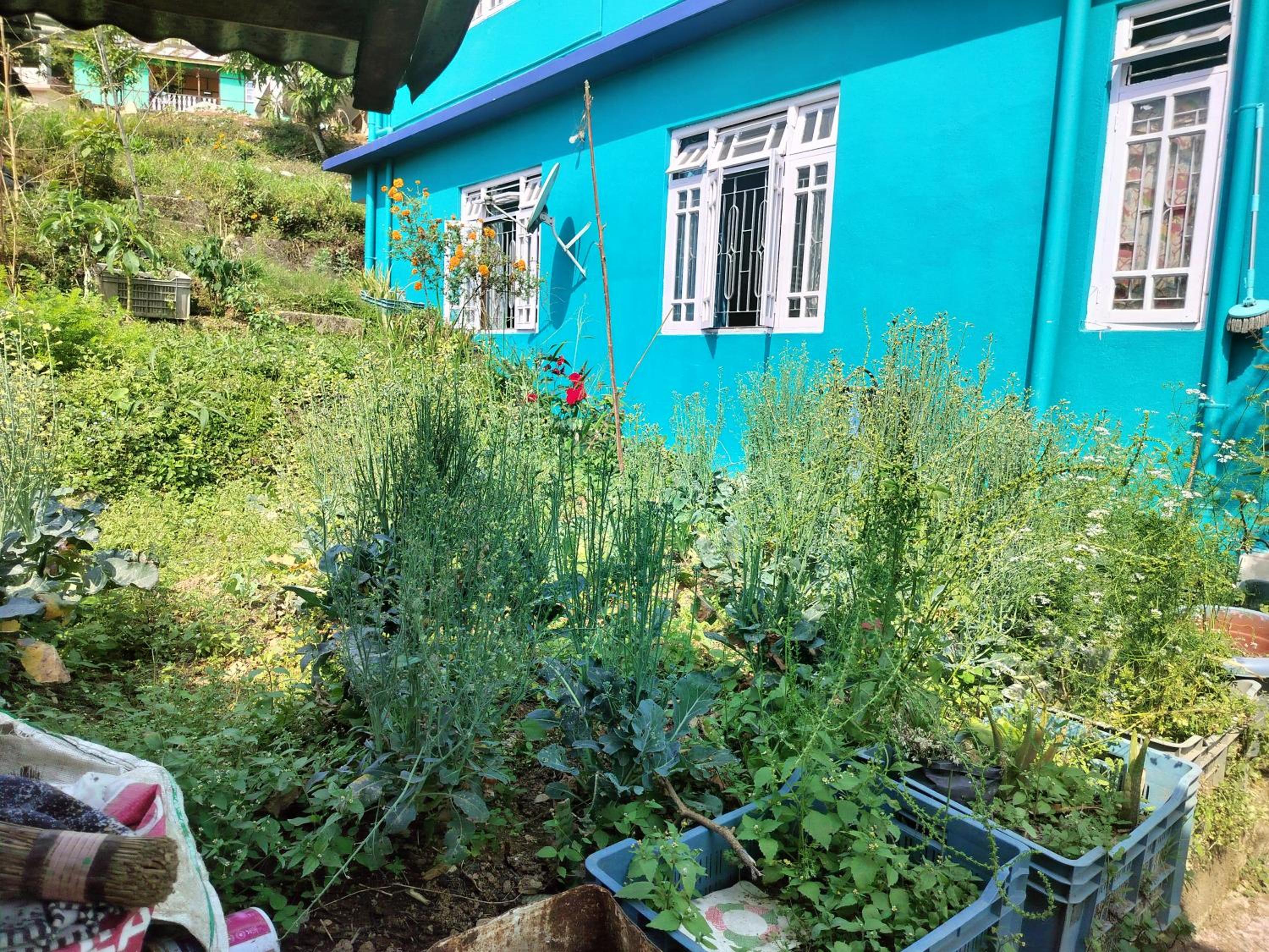 Mountain Valley Homestay view 3