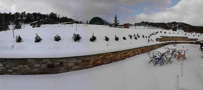 Agriturismo Il Moro view 5