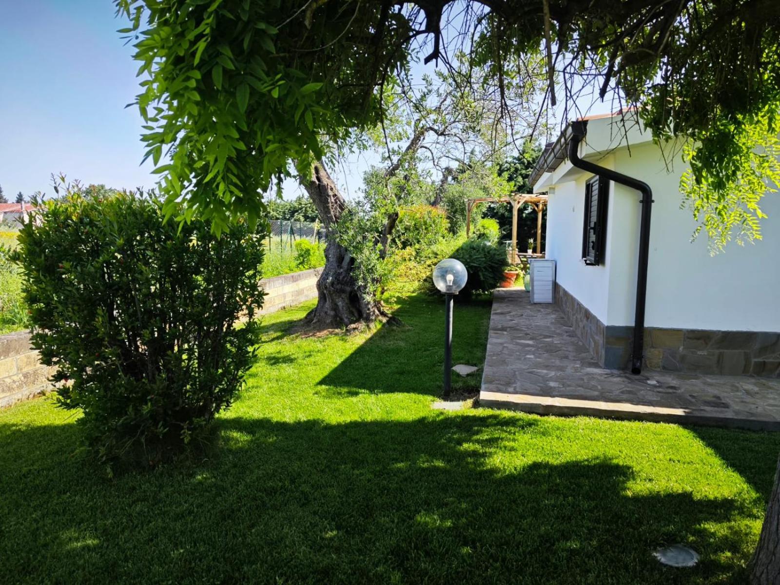 Photo 8