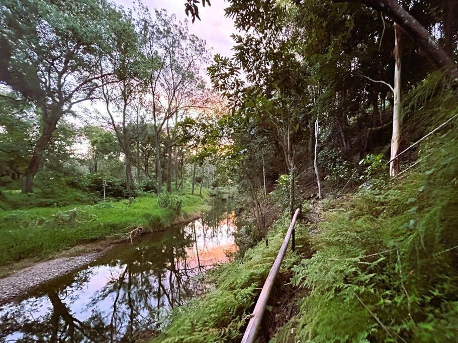 Creek House