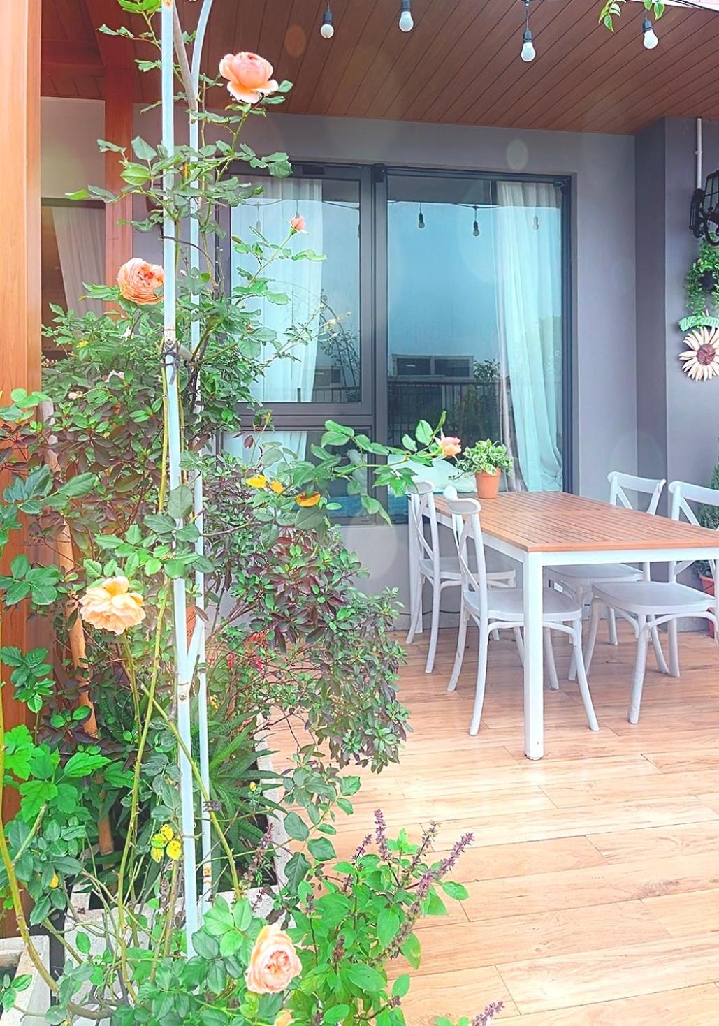 peaceful garden