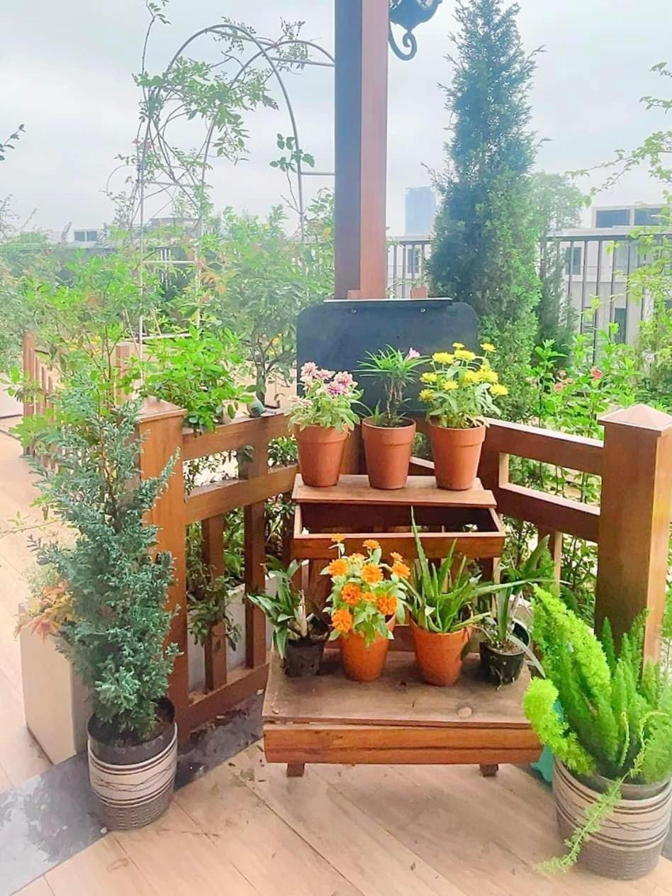 peaceful garden