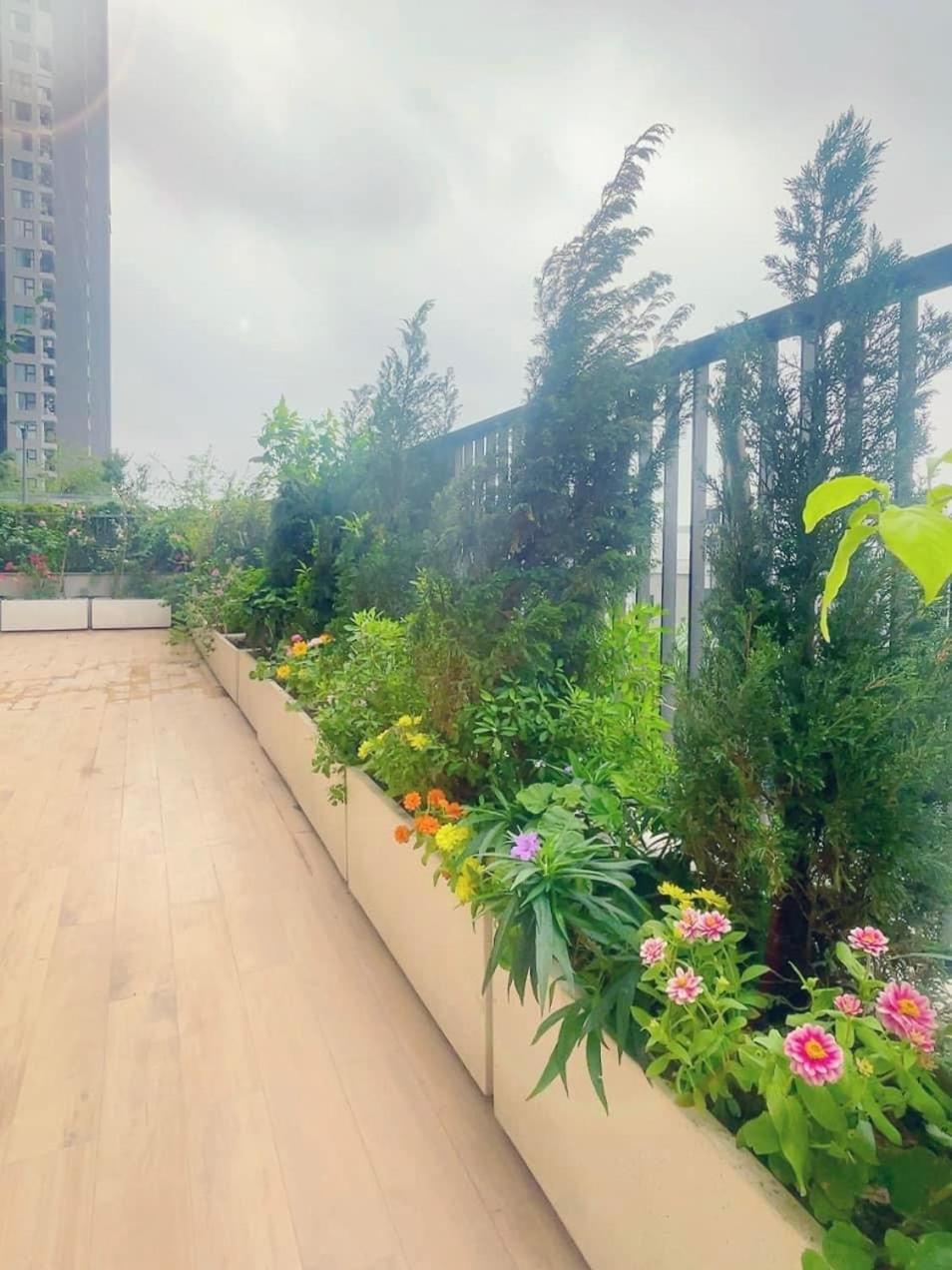peaceful garden
